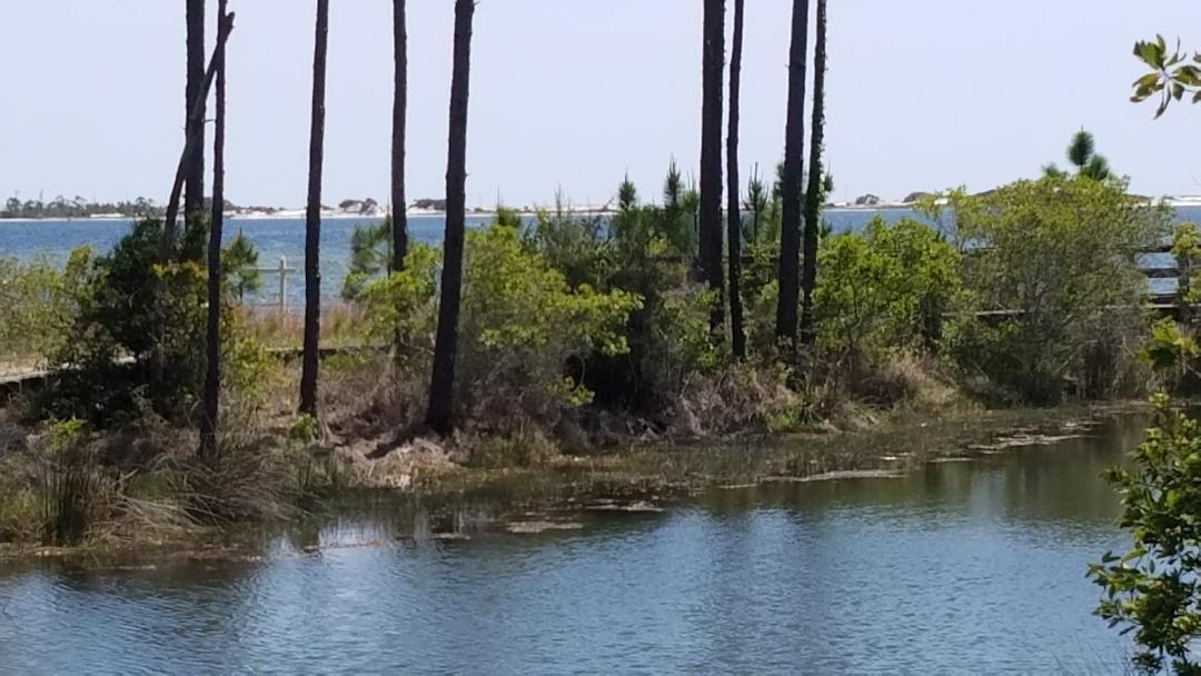 PALMETTO LAKE PRESERVE - Land