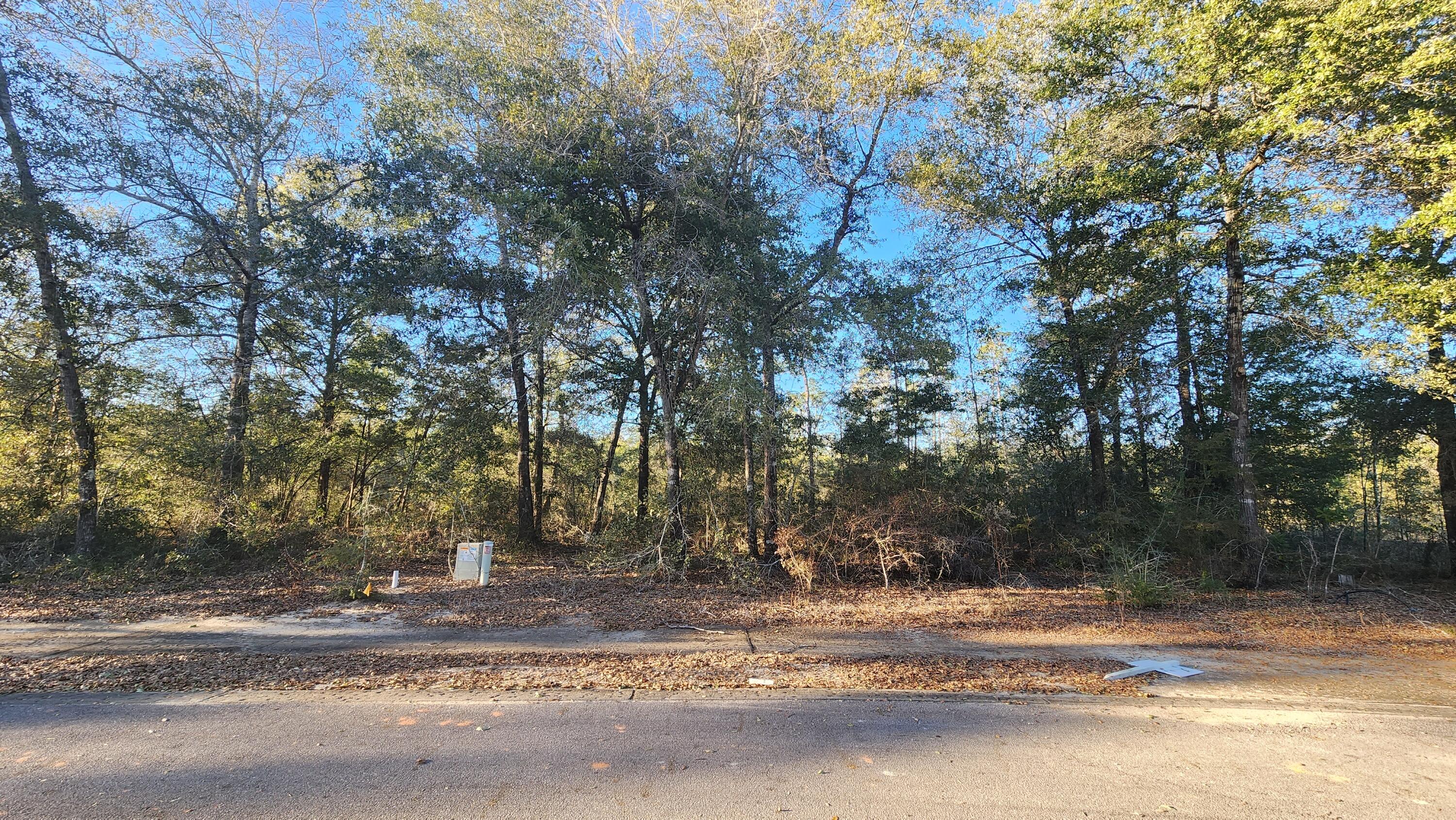 Quaint Community in DeFuniak Springs Beautiful .34 acre lot ready for you to build your dream home. Electrical, Public Water and Public sewer available.This community is restricted to homes with a private preservation easement behind these lots offering more privacy.Easy access to the I-10 & US 331 south making it a great location for work no matter what direction you need to go! You will be approx. 30-45 mins to most workplaces as well as the beautiful white sandy beaches of Florida famous Emerald Gulf Coast and Crab Island.All dimensions shown are approximately only per CRS Property Data Report. A Survey must be completed to confirm property lines and dimensions. Buyer needs to verify building codes, zoning regulations, wetlands and flood zones, etc with proper local authorities to ensure buyer will be able to utilize the property for intended use. Information contained within this listing is deemed to be accurate but is not guaranteed.
There are (2) more lots available for additional purchase price. Check out Lots 10 & 12 of Juniper Trace.