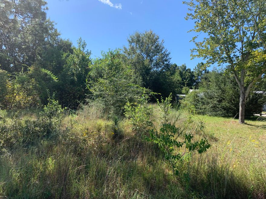 Make an offer! Great lot between Salamanca and Frontera that would be great for a home! Close to beaches, shopping, bases and more! There is one lot that does have sewer, and buyer can call HNWS to see when public sewer may come to the rest of the street; There is an option for sewer, but buyer may have to pay for extension fee; Come look at this lot close to all of Navarre!