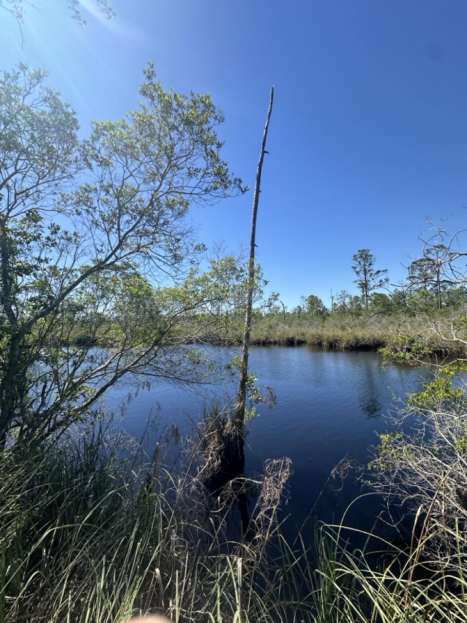 MAGNOLIA BAY - Land