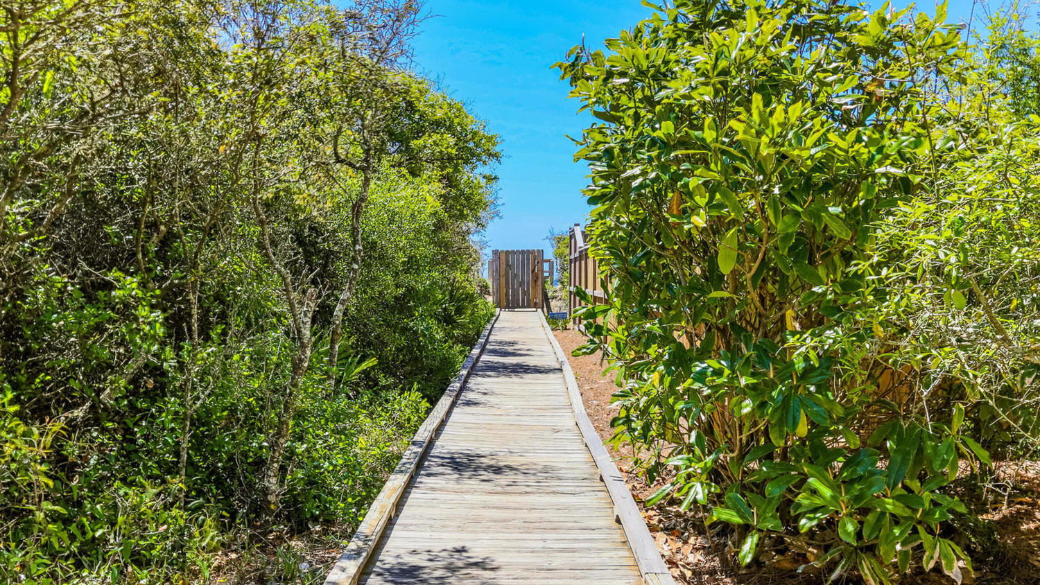 Waterhouse - Residential