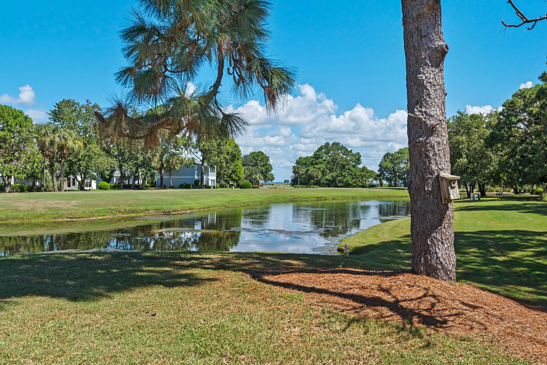 Bayou Village Phase II Condo - Residential