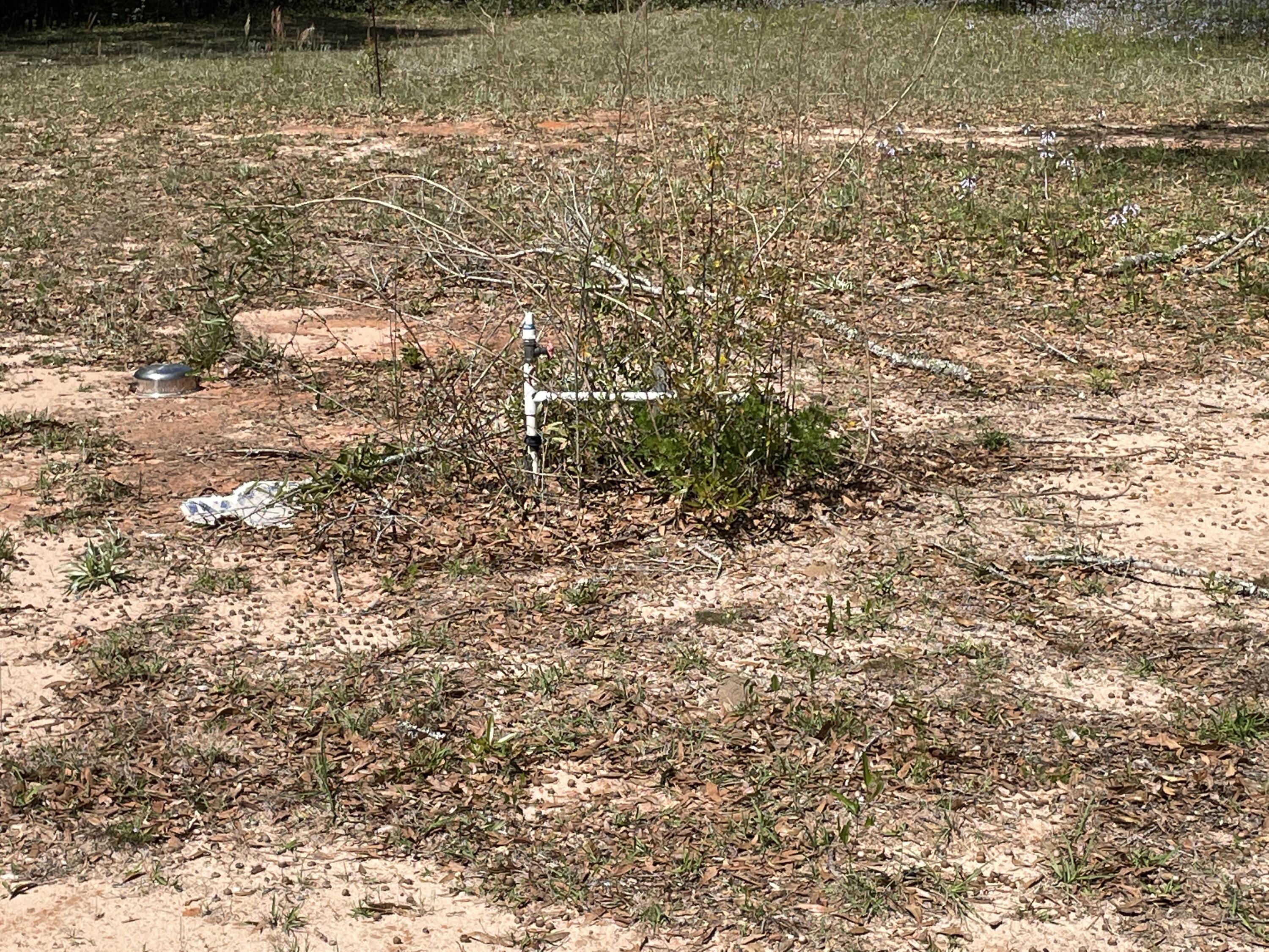 NONESUCH WAY - Residential