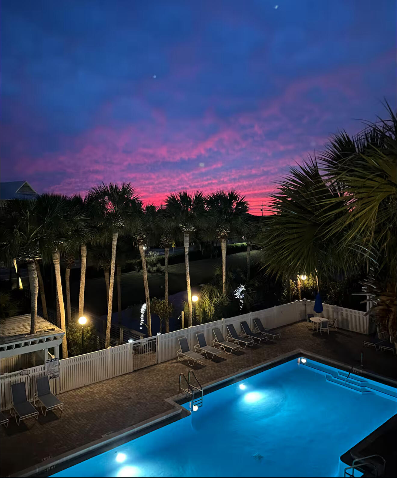 GULF PLACE CARIBBEAN CONDO - Residential