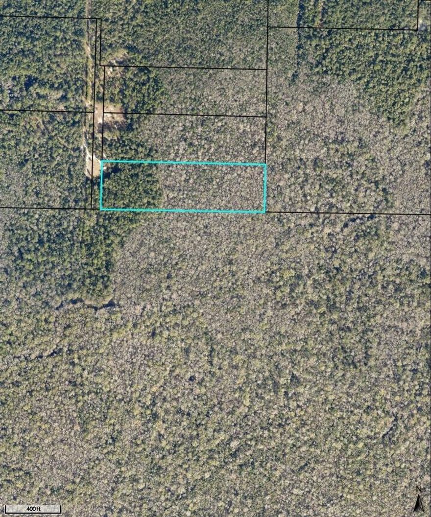 9 acres of land adjoining Northwest Florida Water Management District property. The county GIS map shows the west portion of the property that adjoins the road is not wetlands; the eastern portion is possibly wetlands. All of the property is located in a flood zone that would require flood insurance. Be sure to review the directions prior to going to the property.
