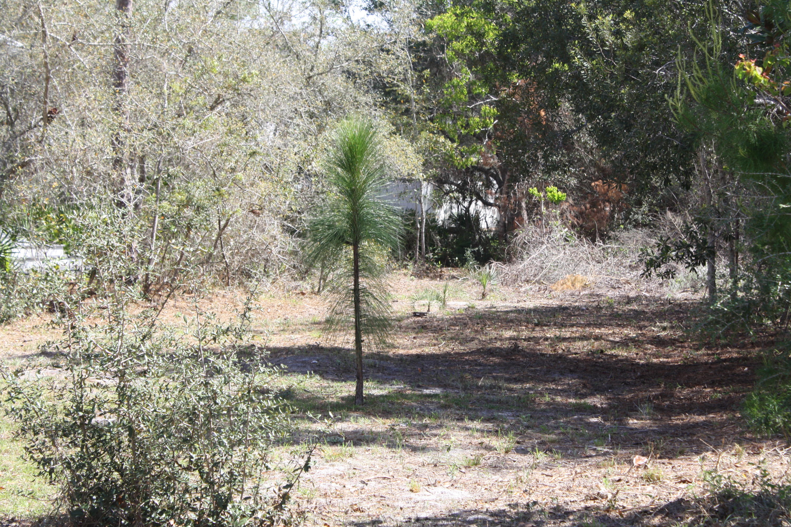 GULF SHORE MANOR - Land