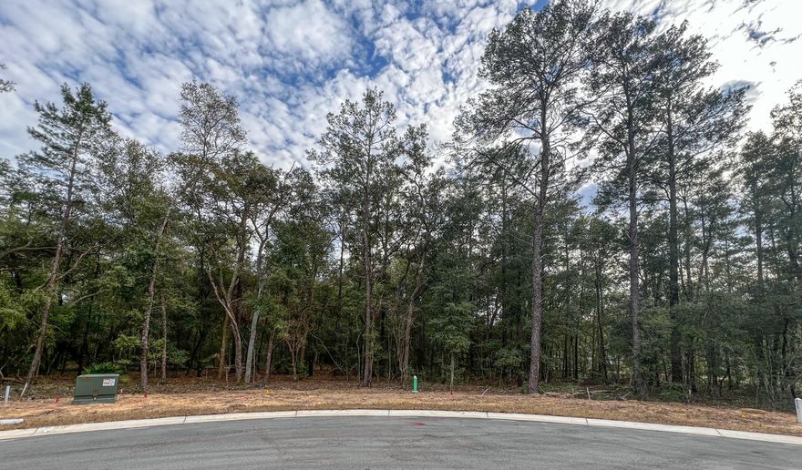 Cul-de-sac lot in desirable Deer Moss Creek(r)! This is one of only 12 large, flat lots developed inDMC Phase 7A. The cul-de-sac lots vary in size between 0.49 to 0.78 acres. If you're looking foran estate-sized lot in Niceville for your custom home, this is it. Deer Moss Creek(r) is an 1,100-acre, master-planned, mixed-use community in Niceville, FL. The west side of this lot borders a 30' natural wooded buffer. Community plans include a nature trail, bike lanes, parks, pools, office and retail space.Sidewalks are 5' wide and home plans must be approved by the Town Architect.