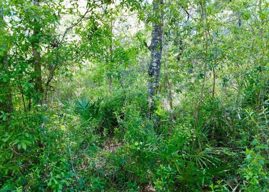 Great corner lot. Property is secluded and would be a great place to find some peace and serenity.