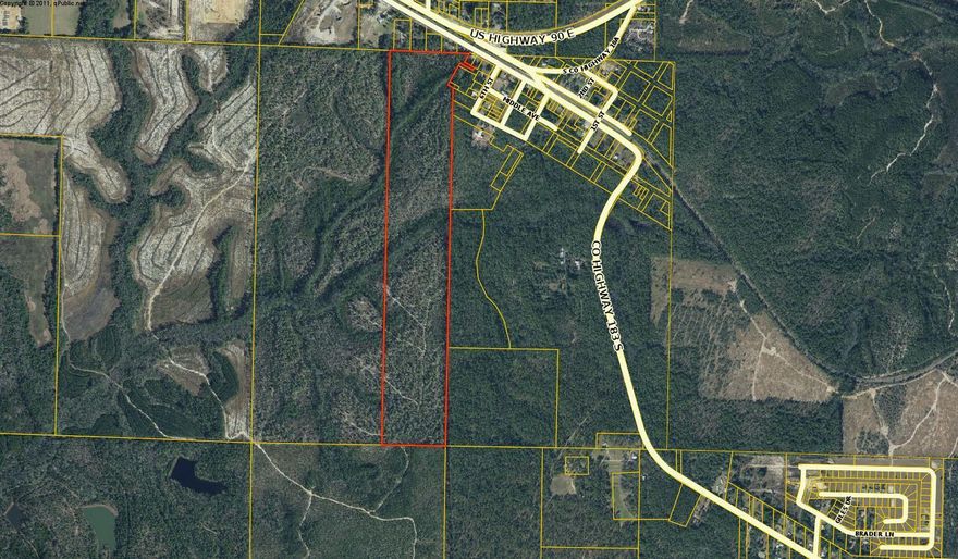 107 Ac of Timberland with a mix of Pines and hardwoods.Legal access from 6th St in Argyle. (road is not cut thru). There are 2 parcels adjoining each other being offered for sale.See MLS For a total of 320 AC of Pines and hardwoods.