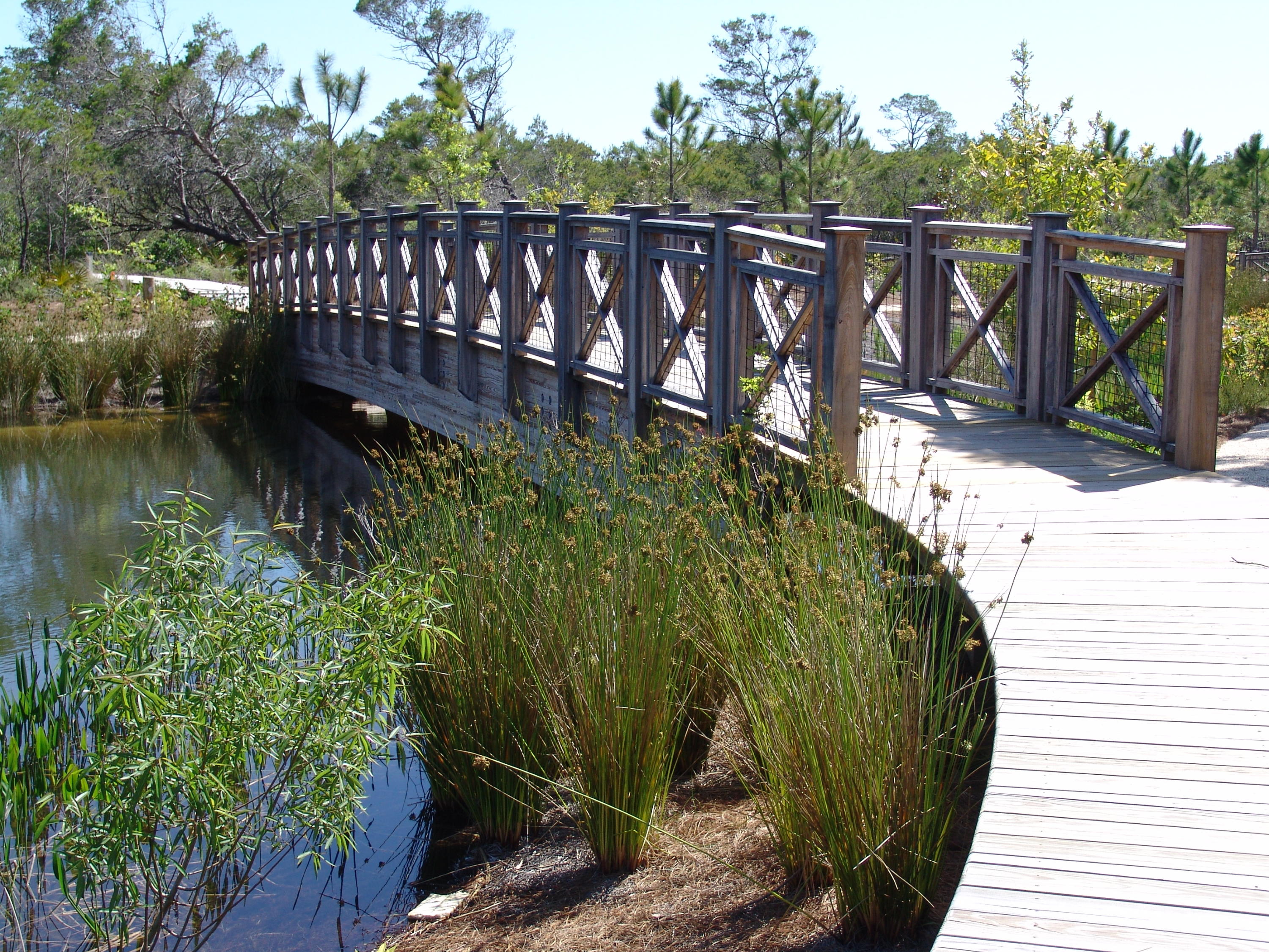 WATERSOUND BEACH PH 2 - Land