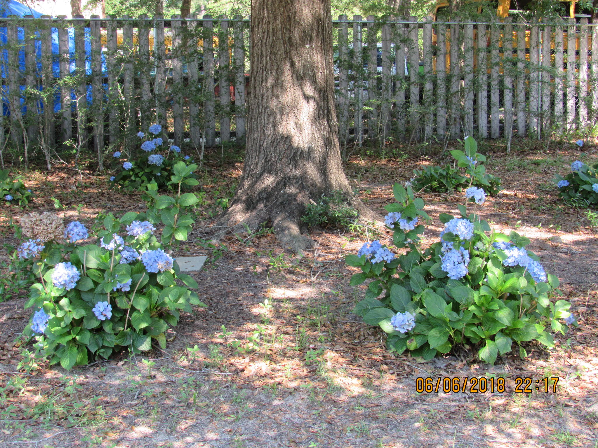 WHITE OAK ESTATES - Residential