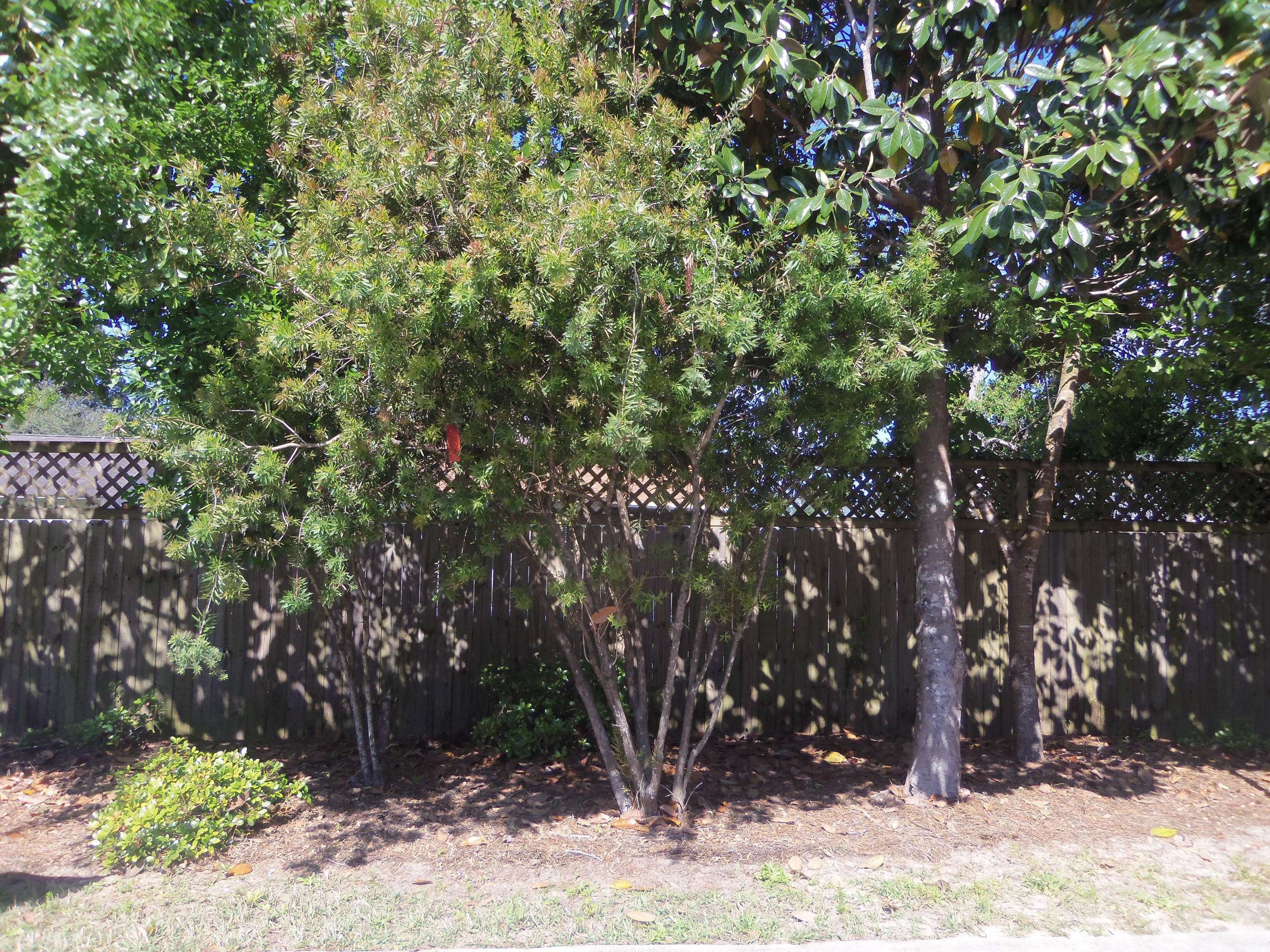 BEAVER CREEK - Residential Lease