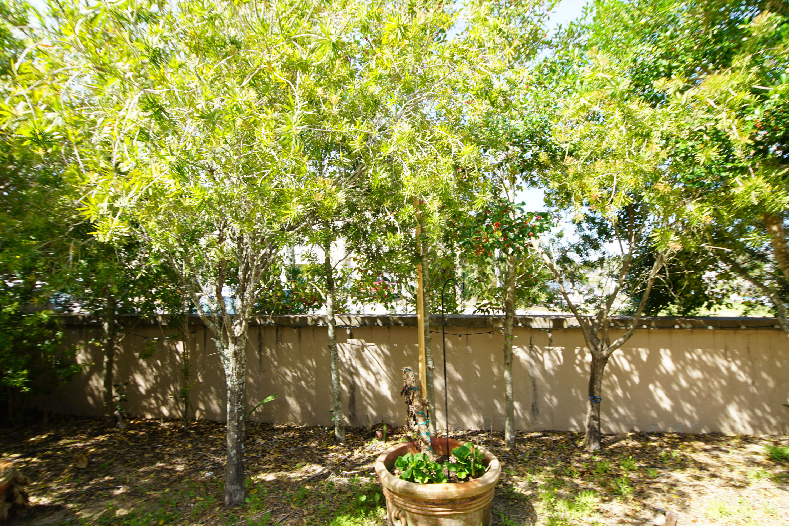 CASA MARINA S/D - Residential