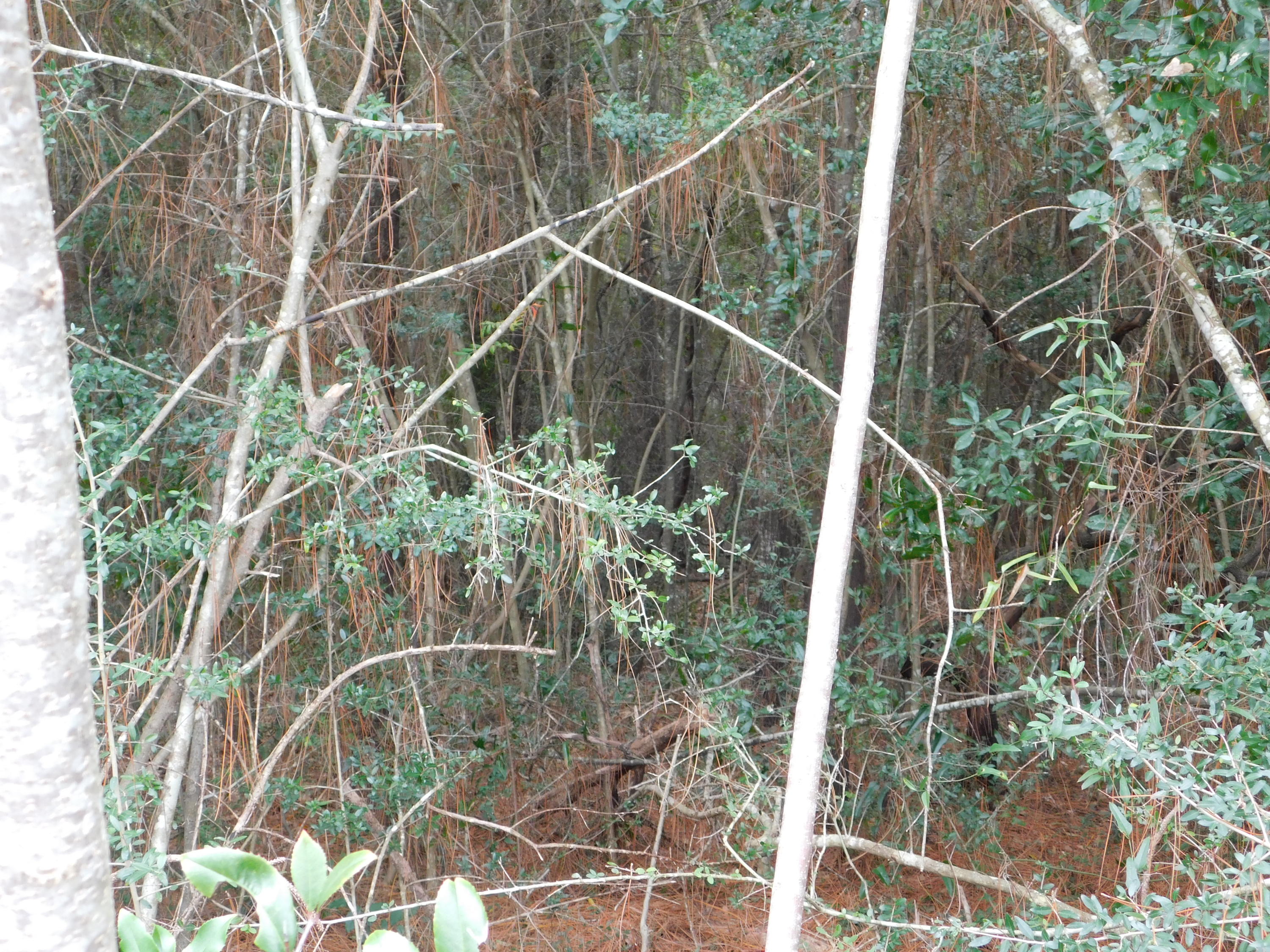 COUNTRYVIEW EST 3RD ADD - Land