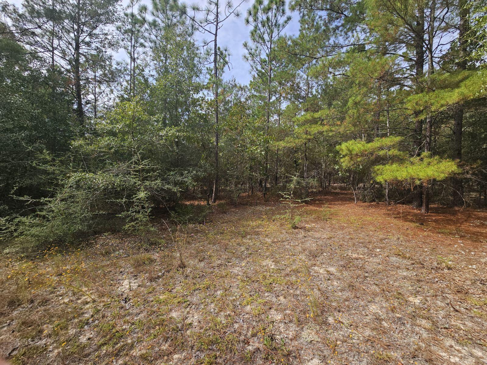 HINOTE COMMONS - Residential