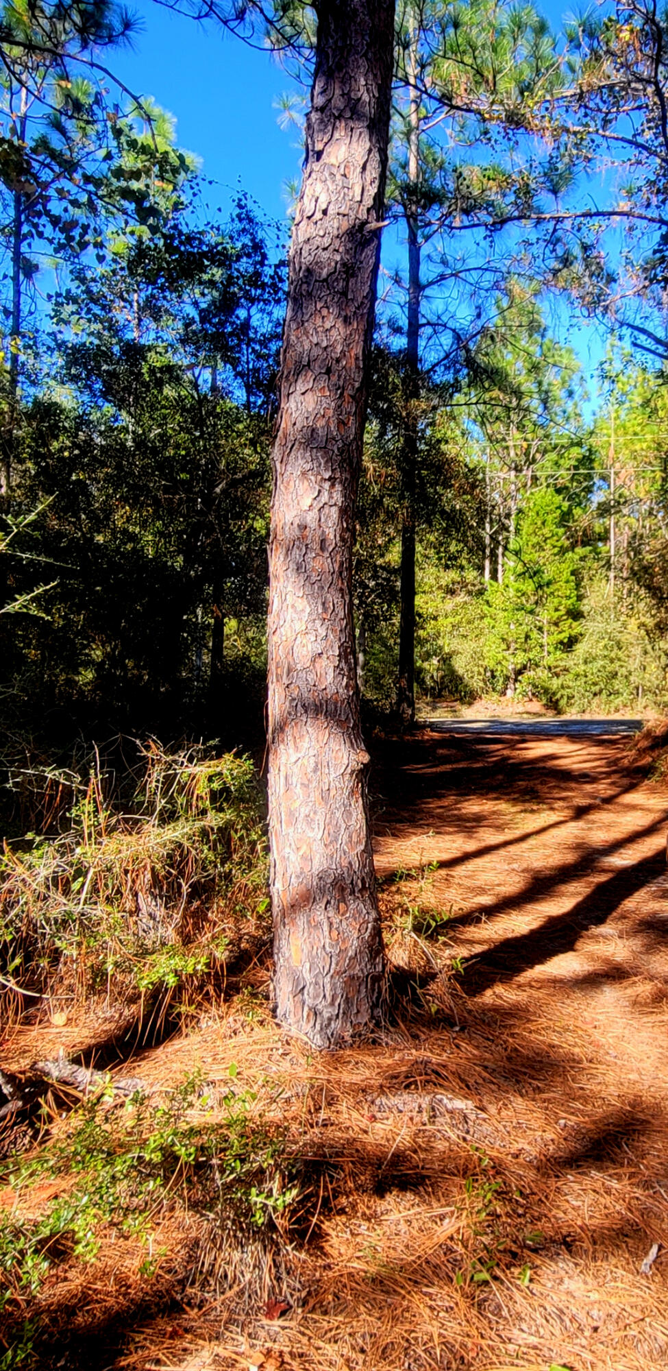 HINOTE COMMONS - Residential