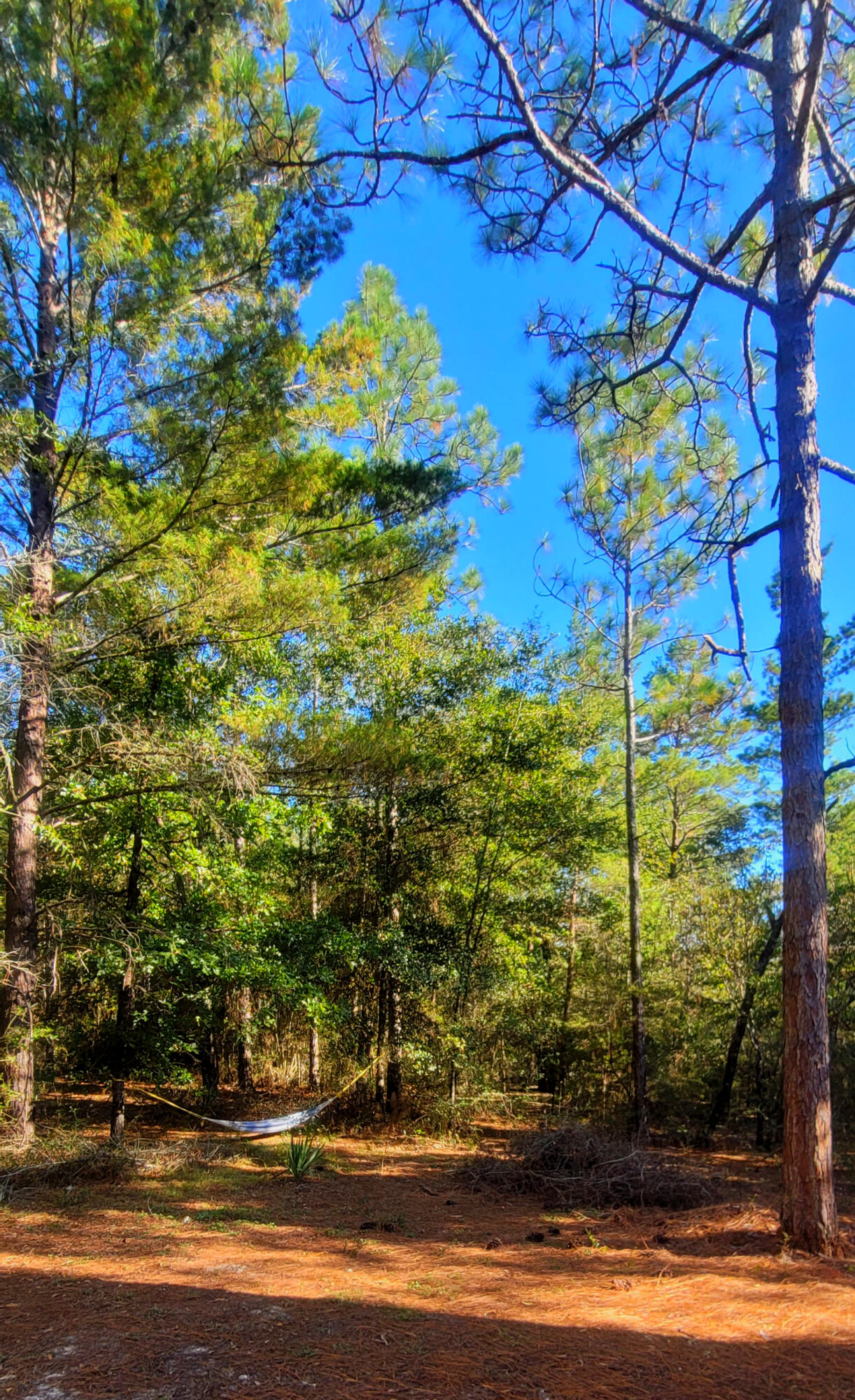 HINOTE COMMONS - Residential