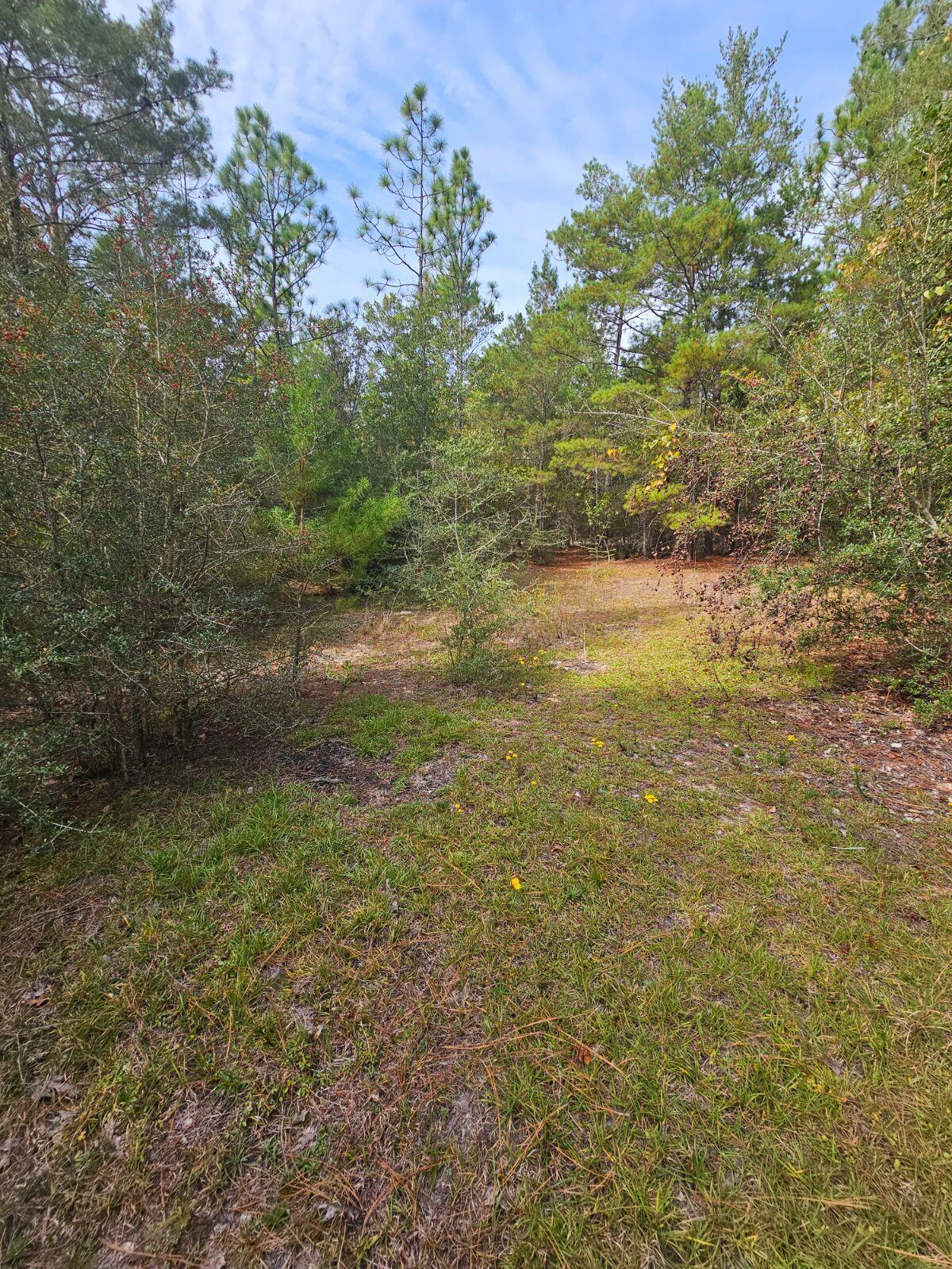 HINOTE COMMONS - Residential