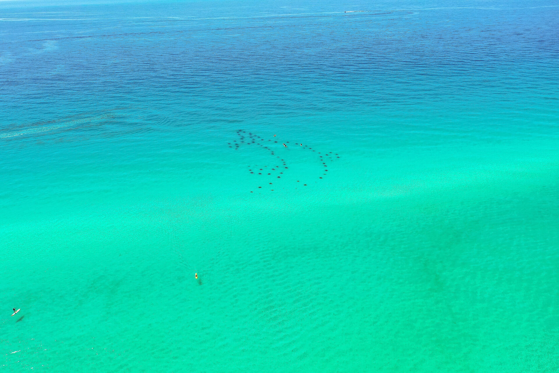 SANDPRINTS CONDO - Residential