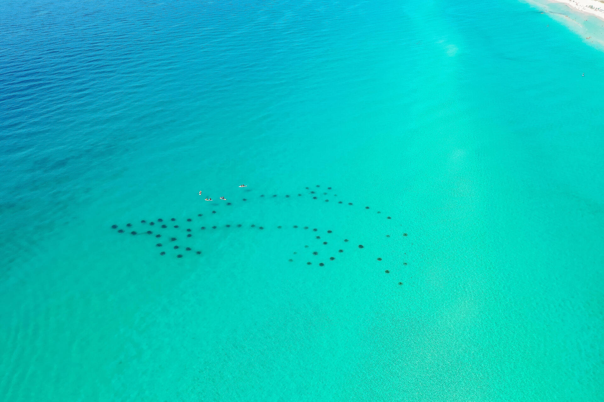 SANDPRINTS CONDO - Residential