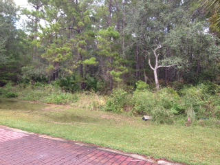 GRAYTON BAYOU - Land