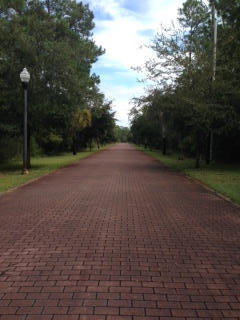 GRAYTON BAYOU - Land