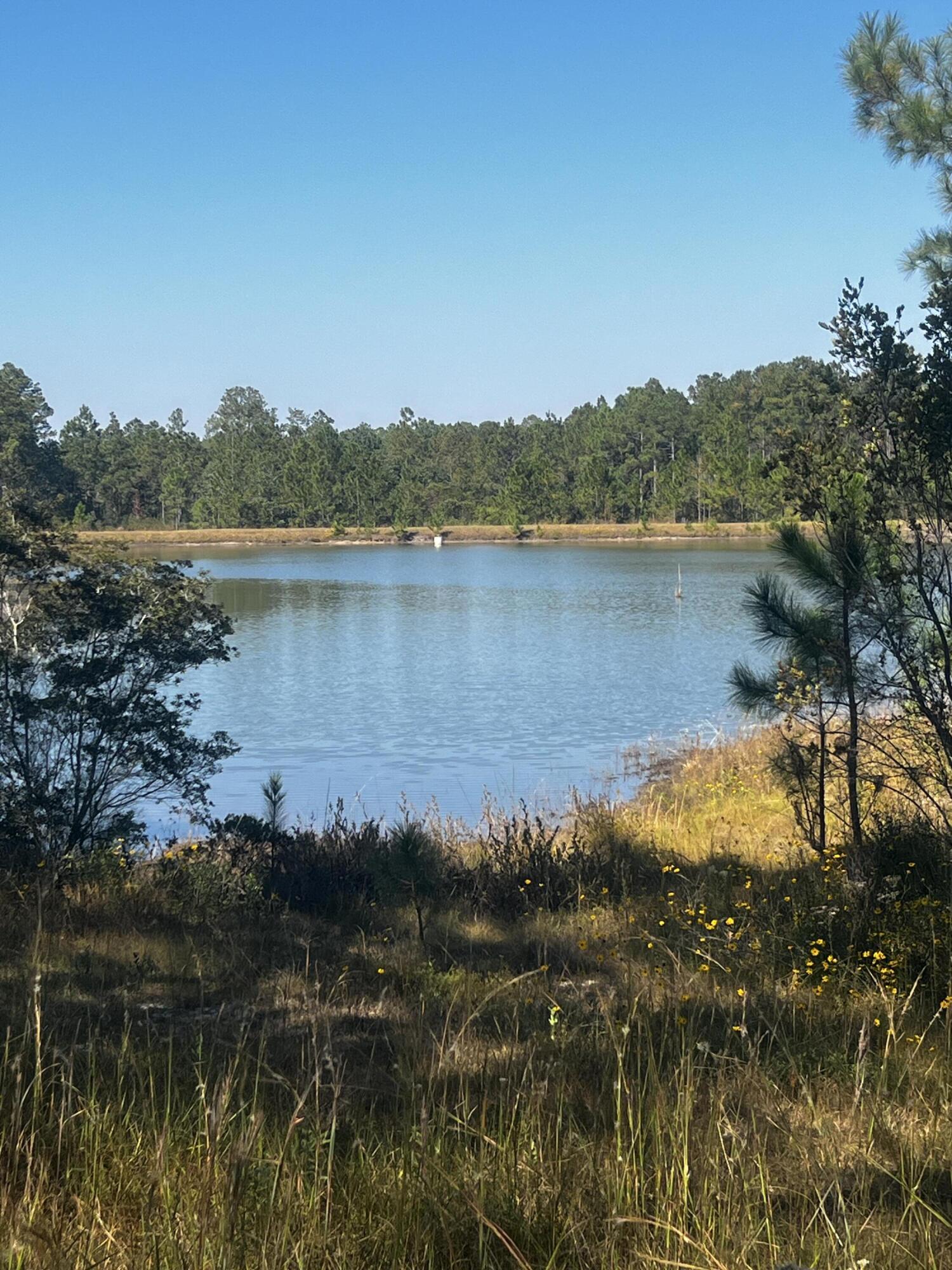 WALTON PLANTATION - Land