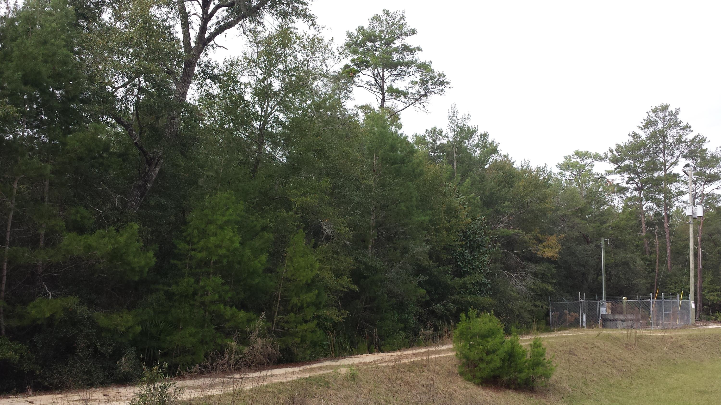 Magnolia Landing - Land