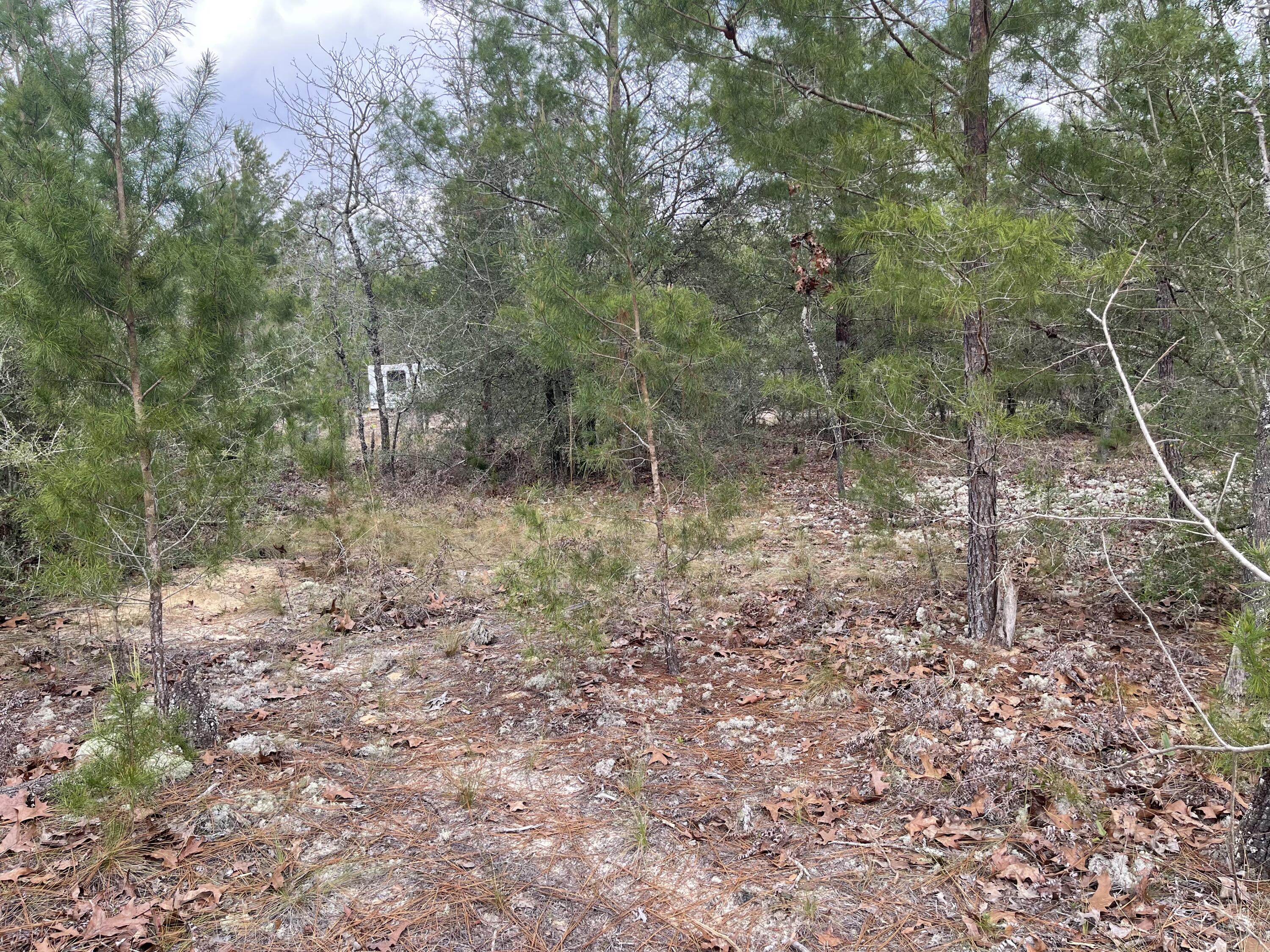 OAKWOOD HILLS UNIT 3 - Land