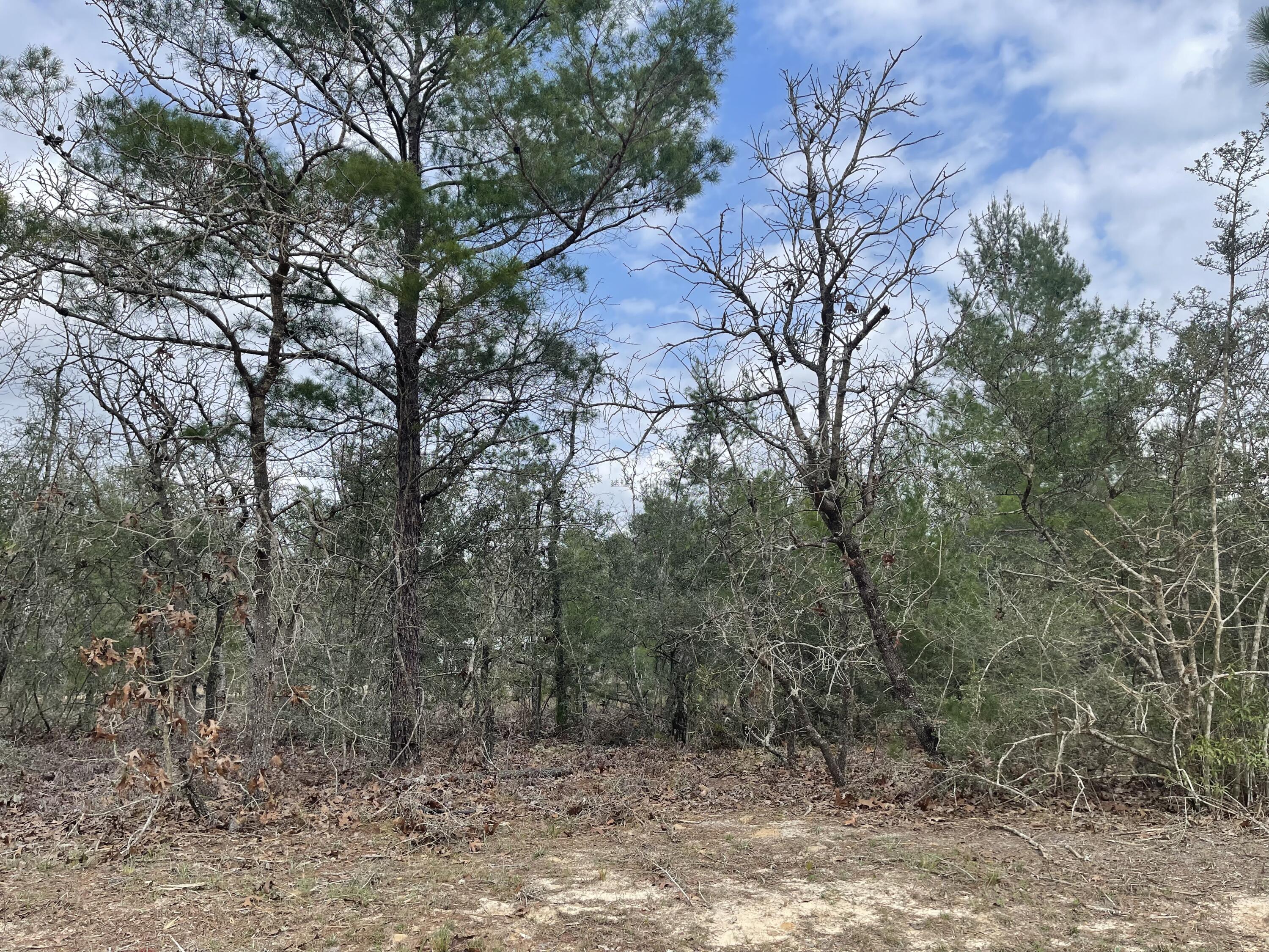 OAKWOOD HILLS UNIT 3 - Land