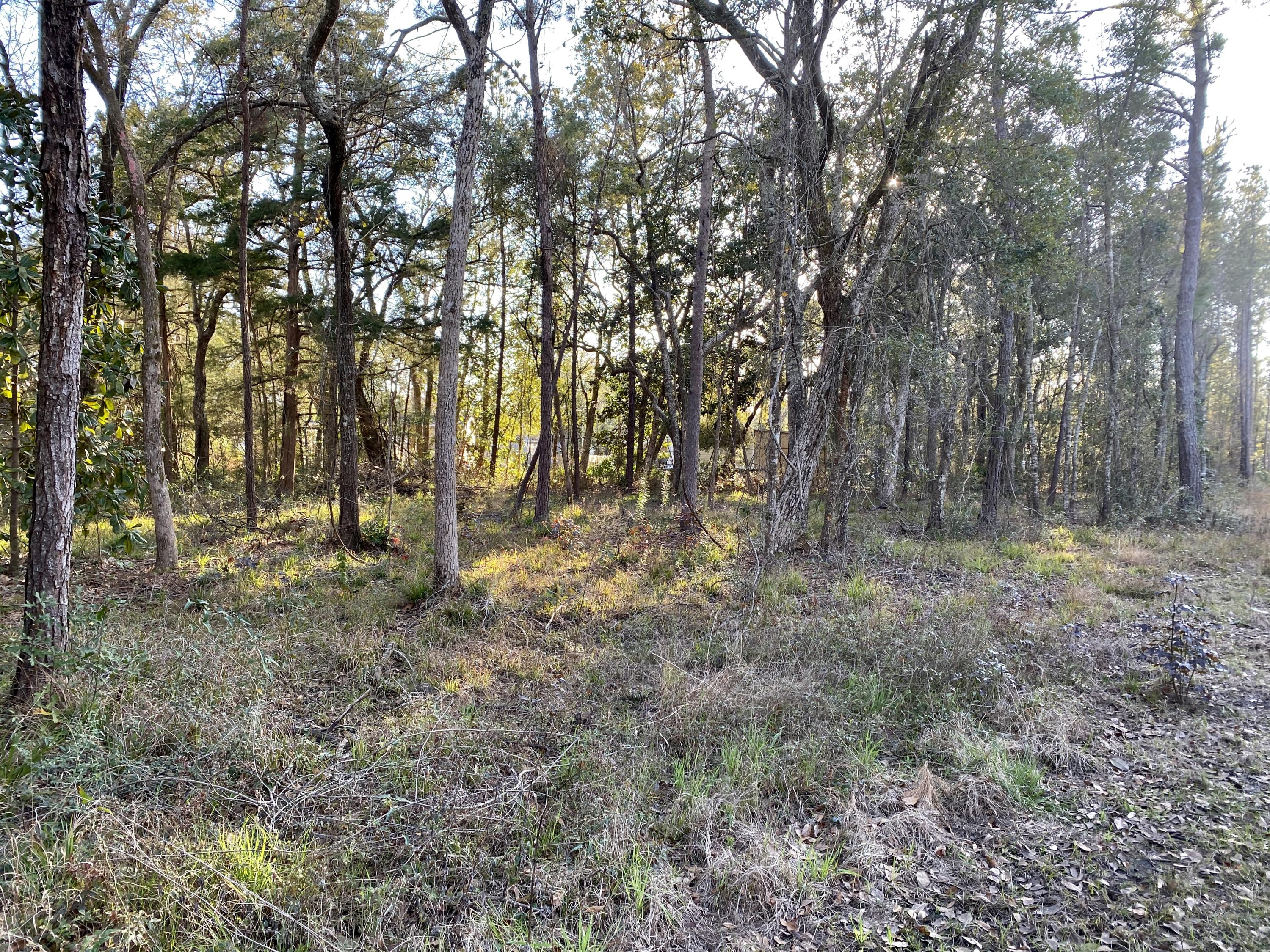 QUAIL RUN UNREC - Land