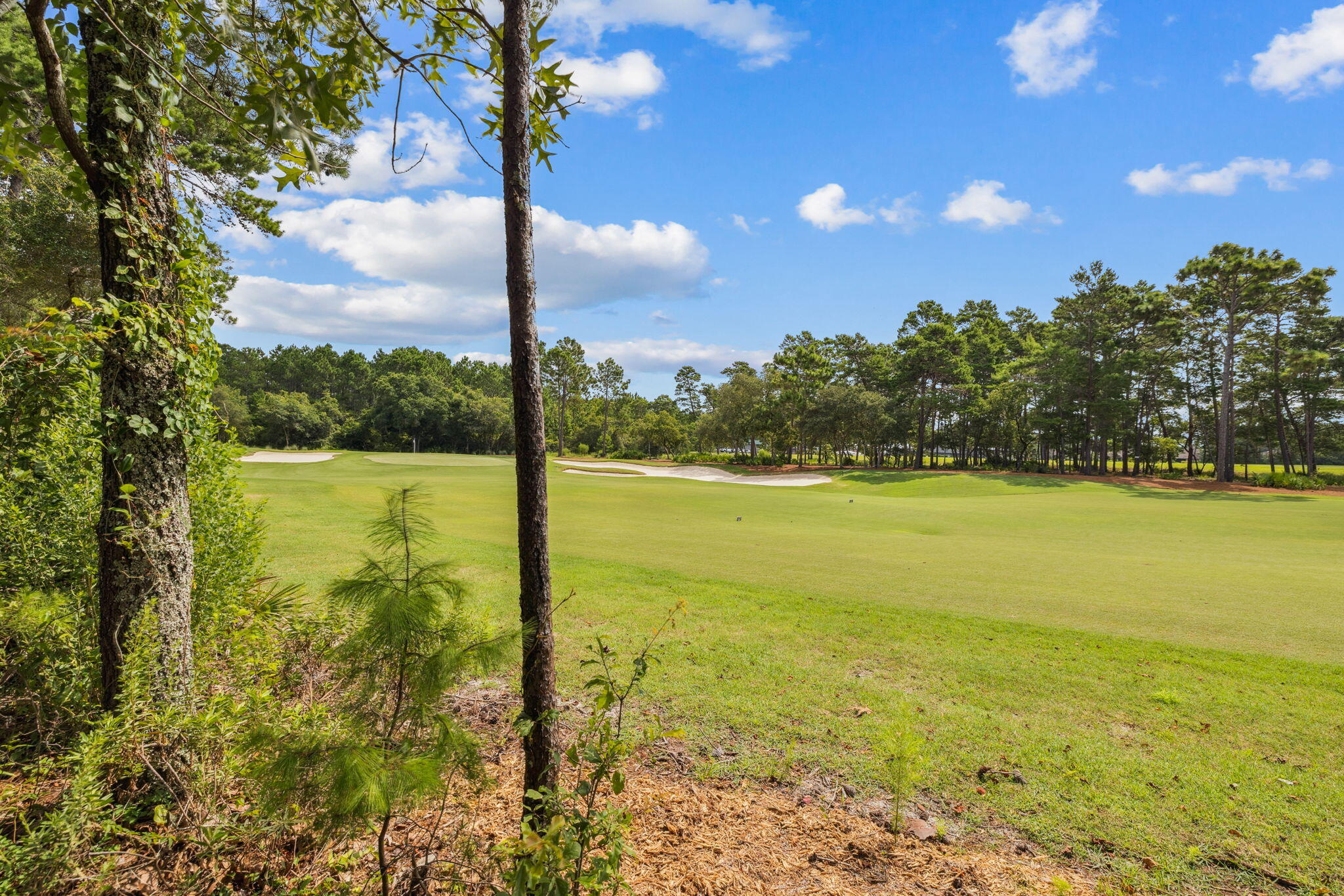 WILD HERON PHASE III - Residential