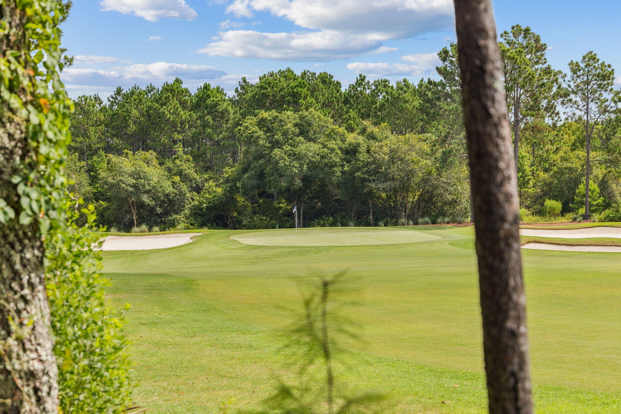 WILD HERON PHASE III - Residential