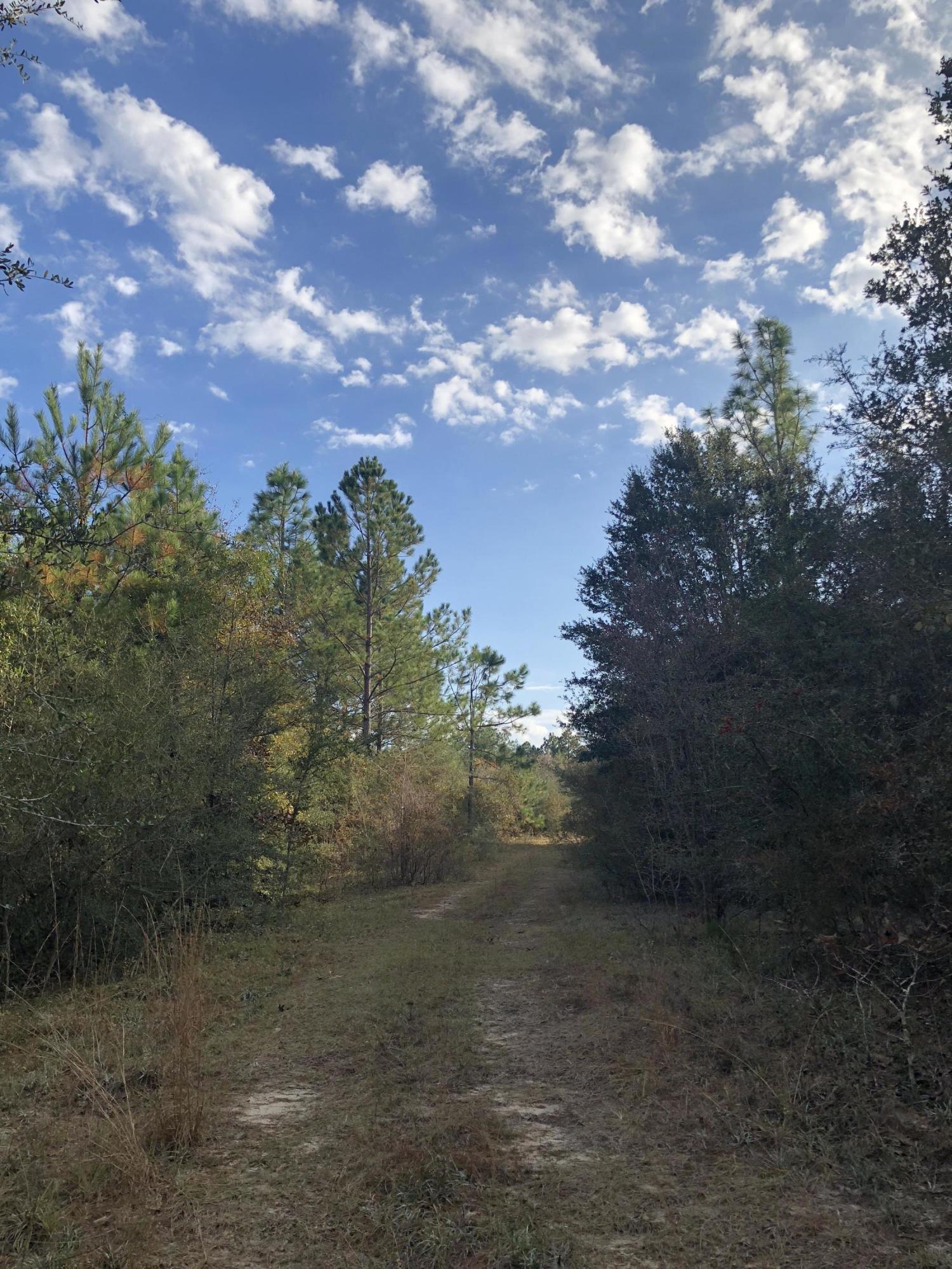 METES & BOUNDS - Farm