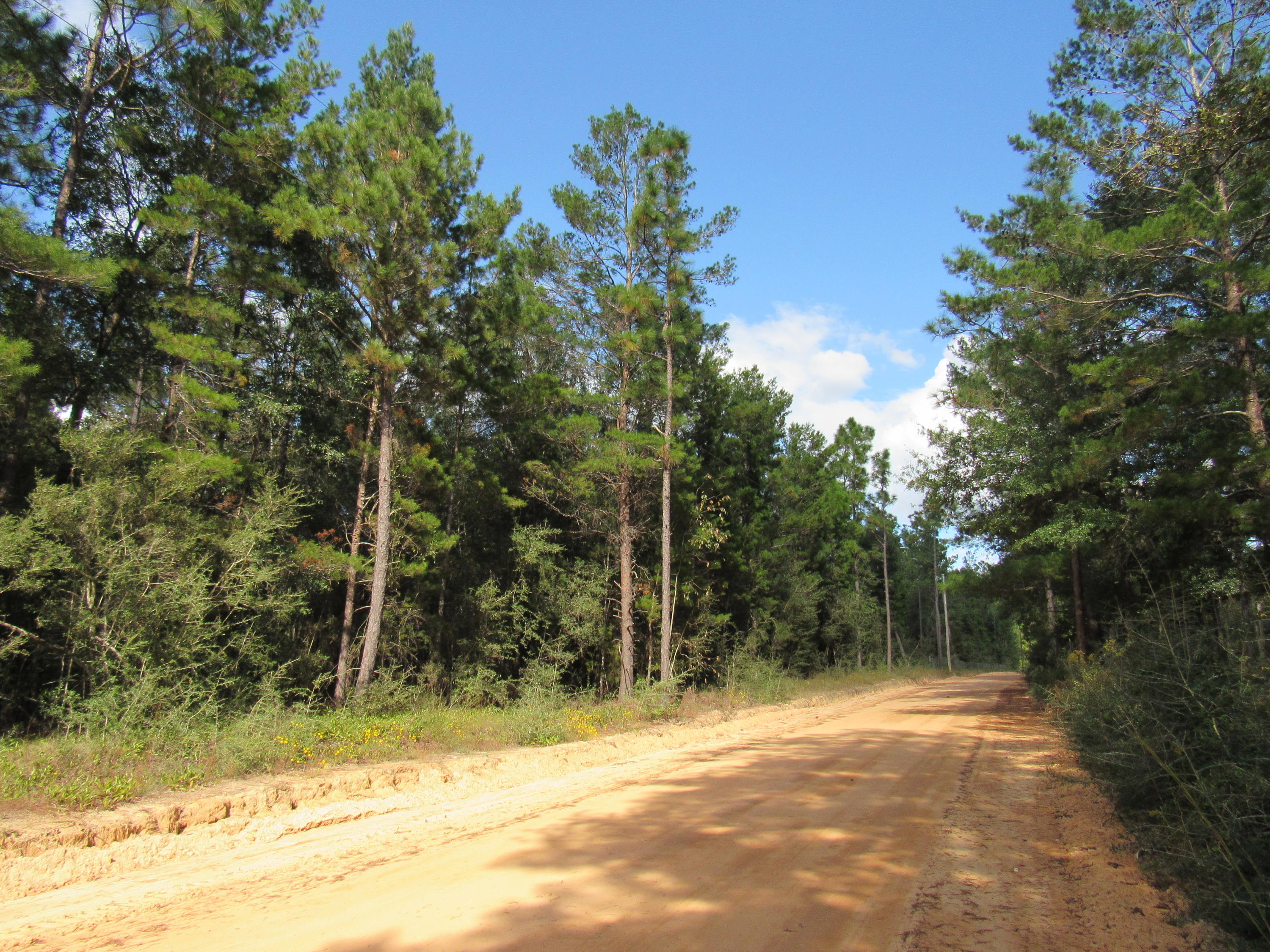10 ACRES SOUTH OF I-10 AND 10 MINUTES TO FREEPORT!!! If you are looking for some acreage and being in close proximity to Freeport, this is the one you have been looking for. This wooded parcel is high and dry, has beautiful Oaks and would make a perfect location to build your dream home. If you need a place to build a barn and bring your livestock, you can do that here! This unrestricted parcel is close to town but very private. Surrounded by large acreage parcels, this is very secluded. Electric is on the road, you would need to put in a well for water. Don't miss out on this one, call for your tour today!
