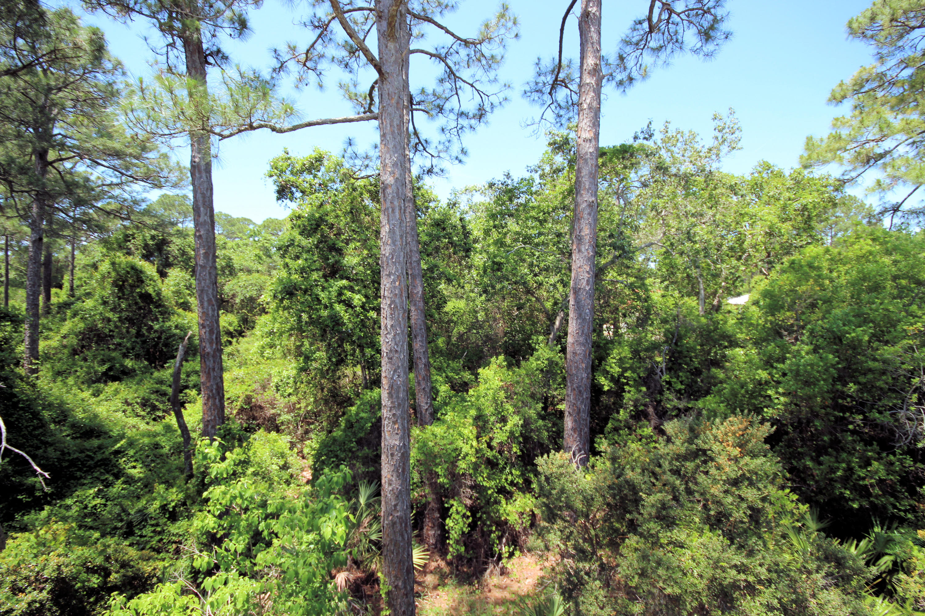 SEA DUNES - Residential