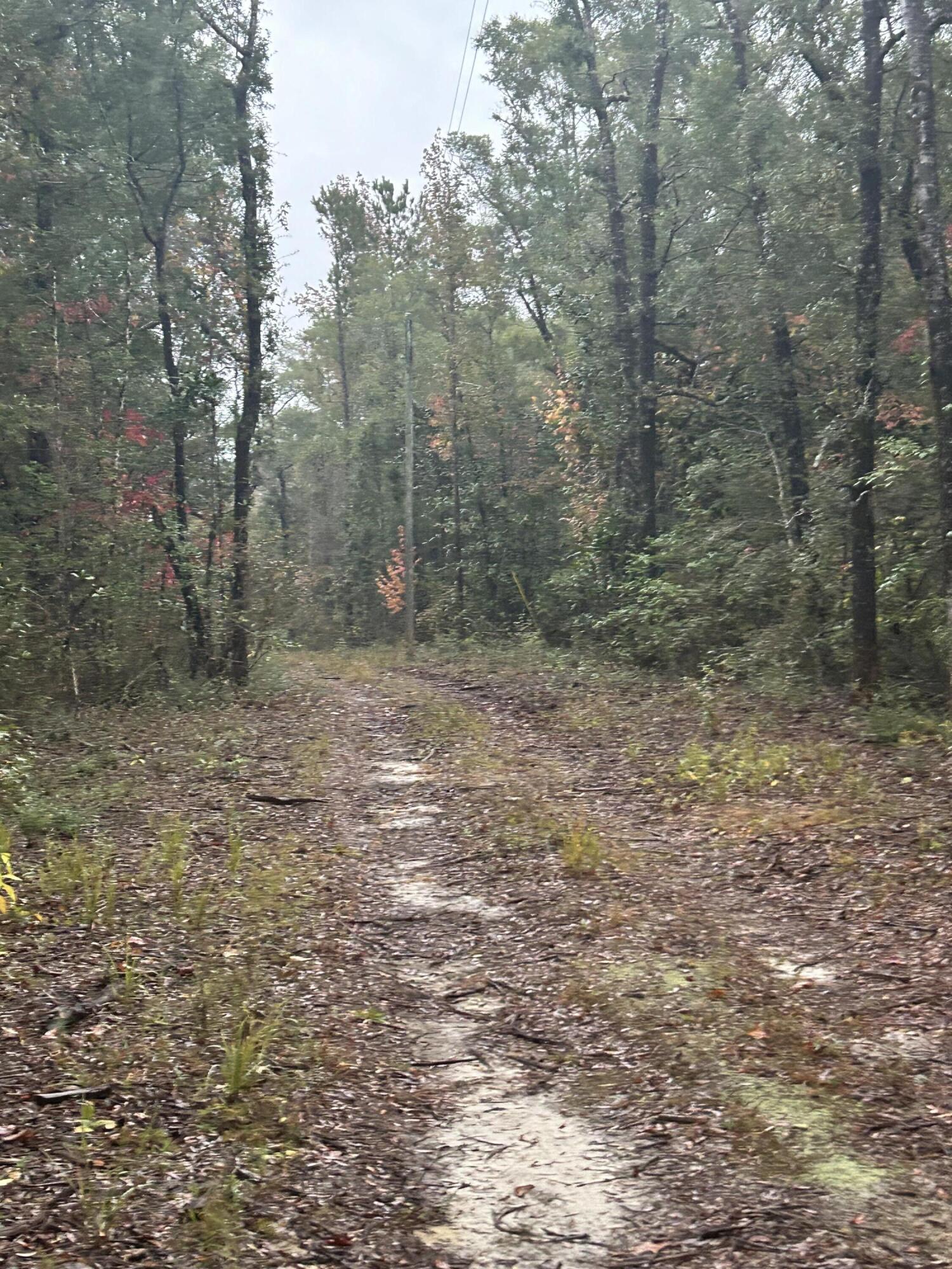 Away from the hustle and bustle, but yet a quick drive to town. Long private driveway gives you seclusion from road. Appears to have creek frontage. Property is being sold as is. No current survey. Old double wide and camper have no value. Seller assumes no responsibility for removal of old trailer, camper, and miscellaneous junk. Well on property but tank missing. Seller does not warrant condition of well or septic tank.