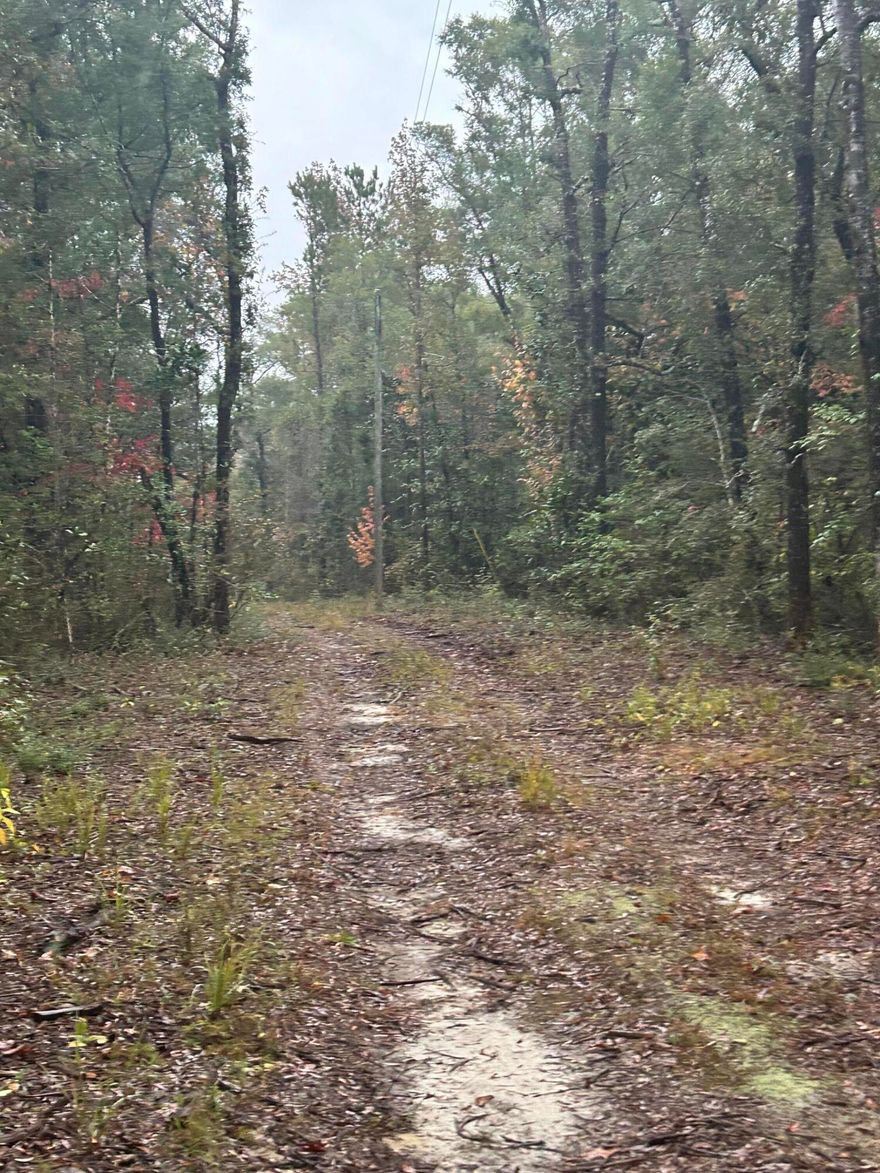 Away from the hustle and bustle, but yet a quick drive to town.  Long private driveway gives you seclusion from road.  Appears to have creek frontage.  Property is being sold as is.  No current survey. Old double wide and camper have no value. Seller assumes no responsibility for removal of old trailer, camper, and miscellaneous junk. Well on property but tank missing. Seller does not warrant condition of well or septic tank.