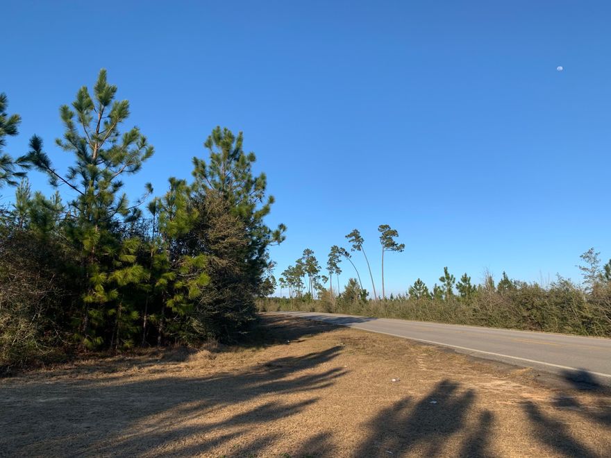 10 acres of nature for your hunting or your home! Beautiful timberland with highway access. Schools: Central for Elementary, Central High School for both Middle and High schoolers.Access by appointment only.