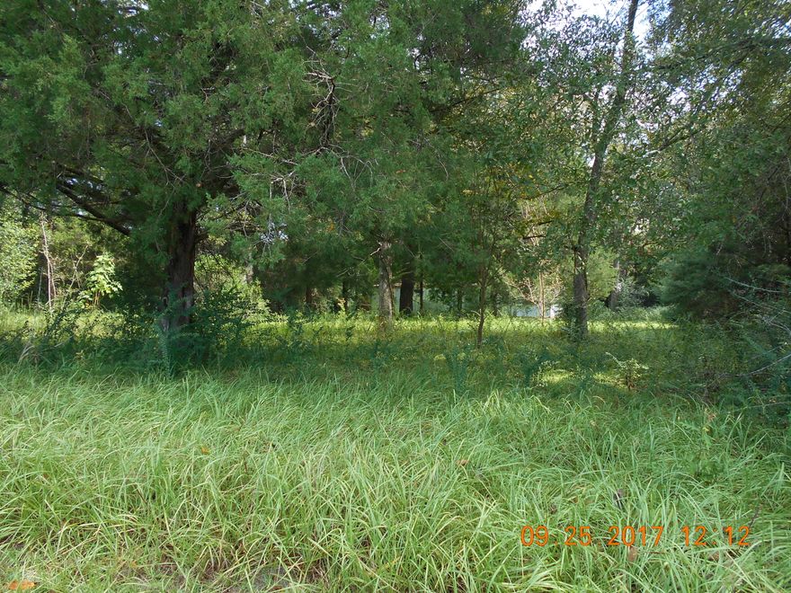 Level lot with mature trees and right across the street from the Laurel Hill School~ The lot has public water and power on it~ This lot would make a wonderful home site~ It is an interior level lot, cleared and ready for your new home~