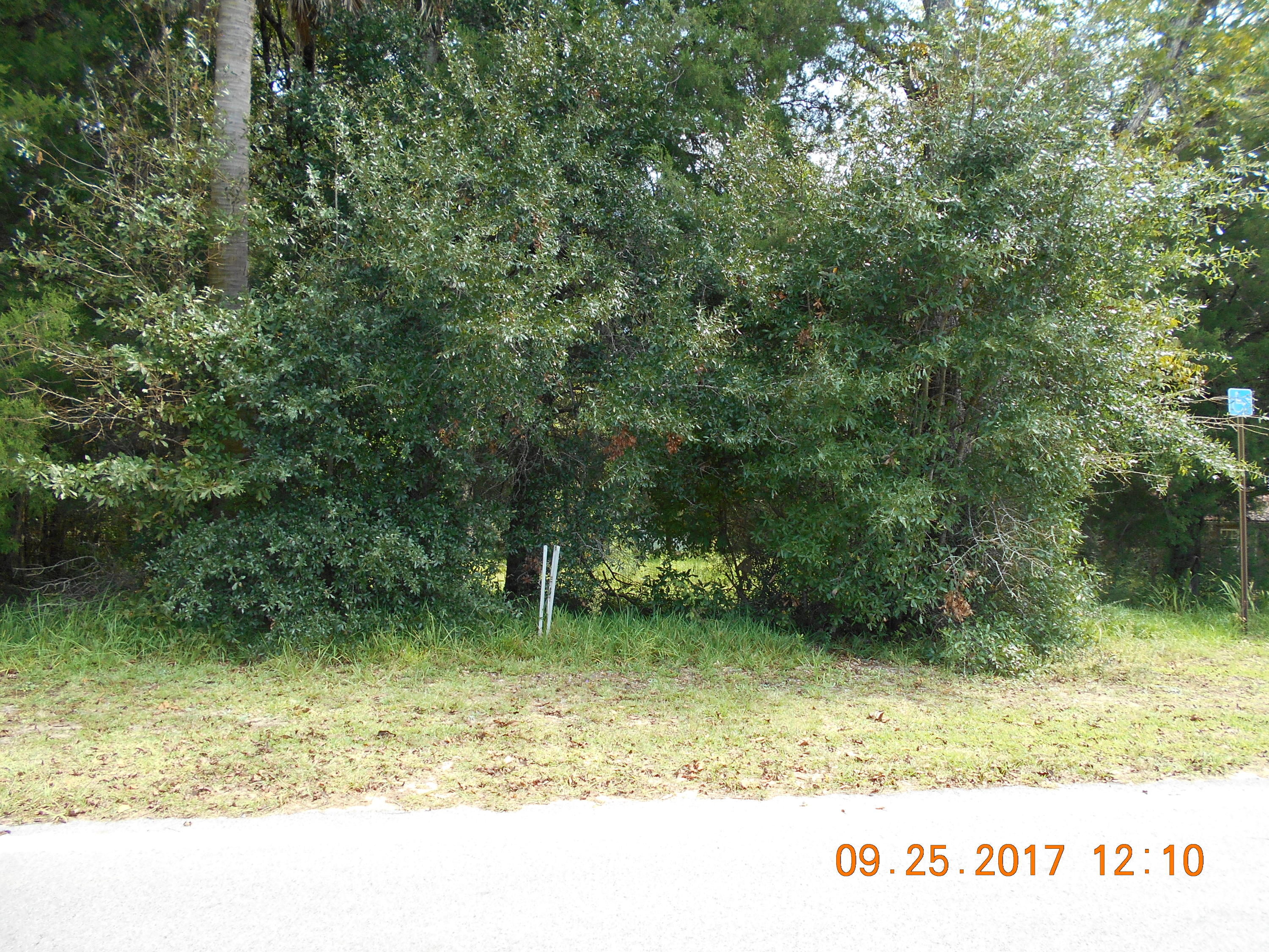 Fairview LH Lots 35 & 36 BLK 41 - Land