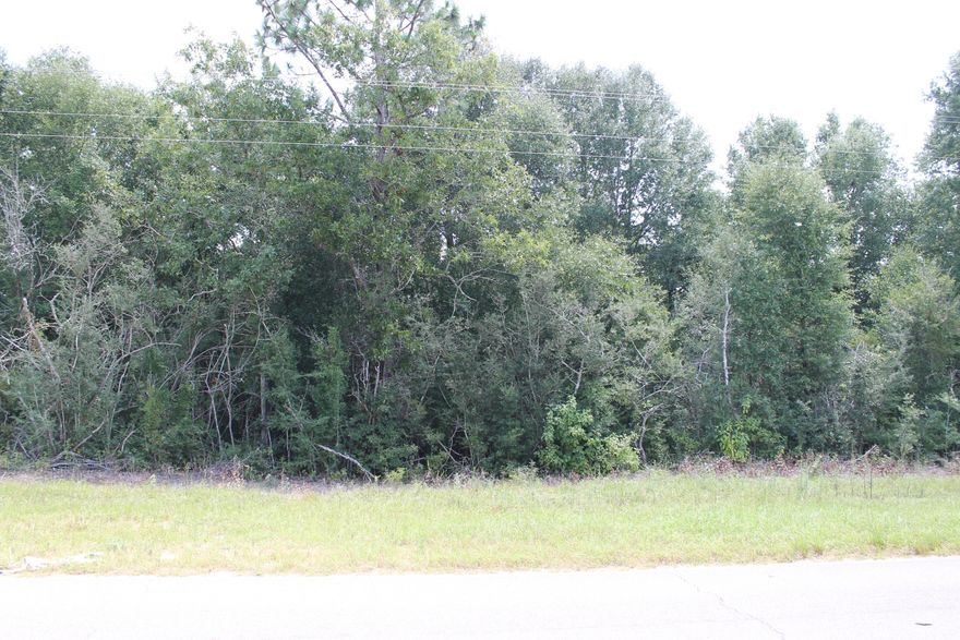 Location Dream Home, Wooded level Home site,2 to 12 acres available. Seller will consider owner financing.