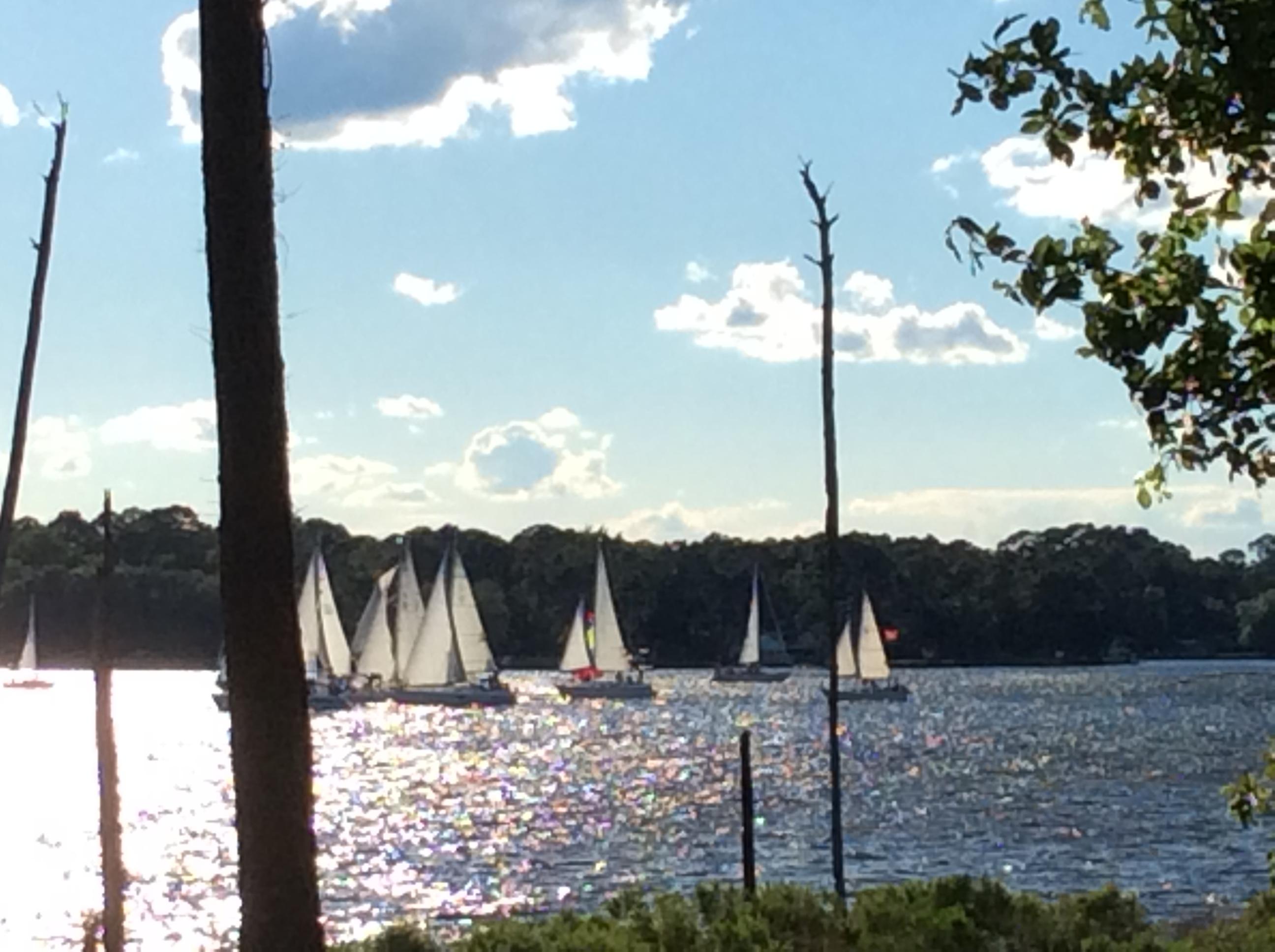 MARINA COVE VILLAGE PH 1 - Residential