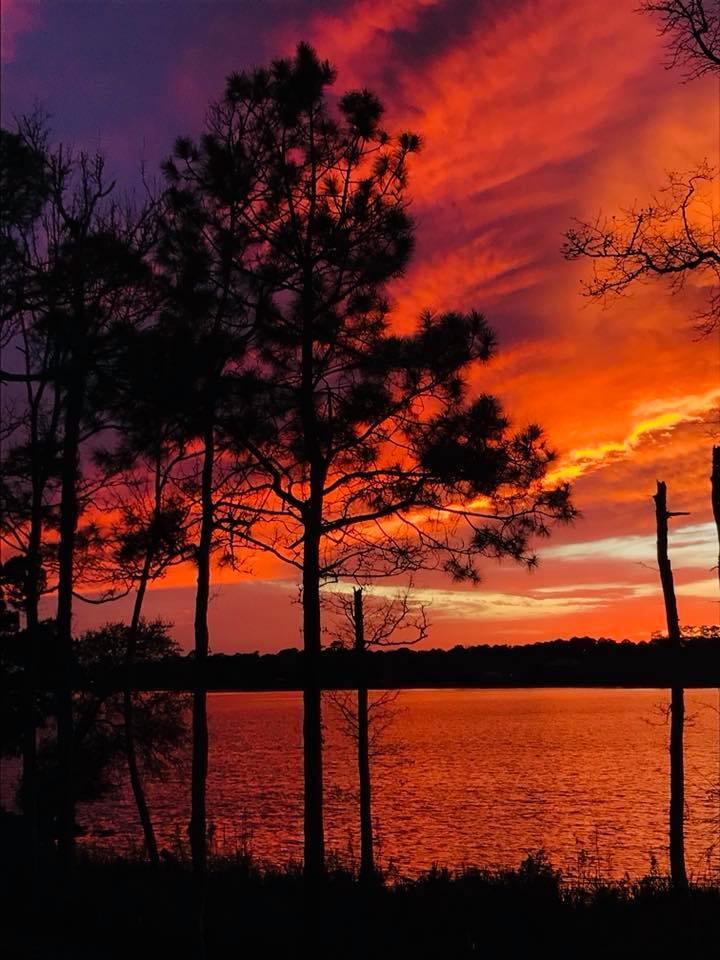 MARINA COVE VILLAGE PH 1 - Residential