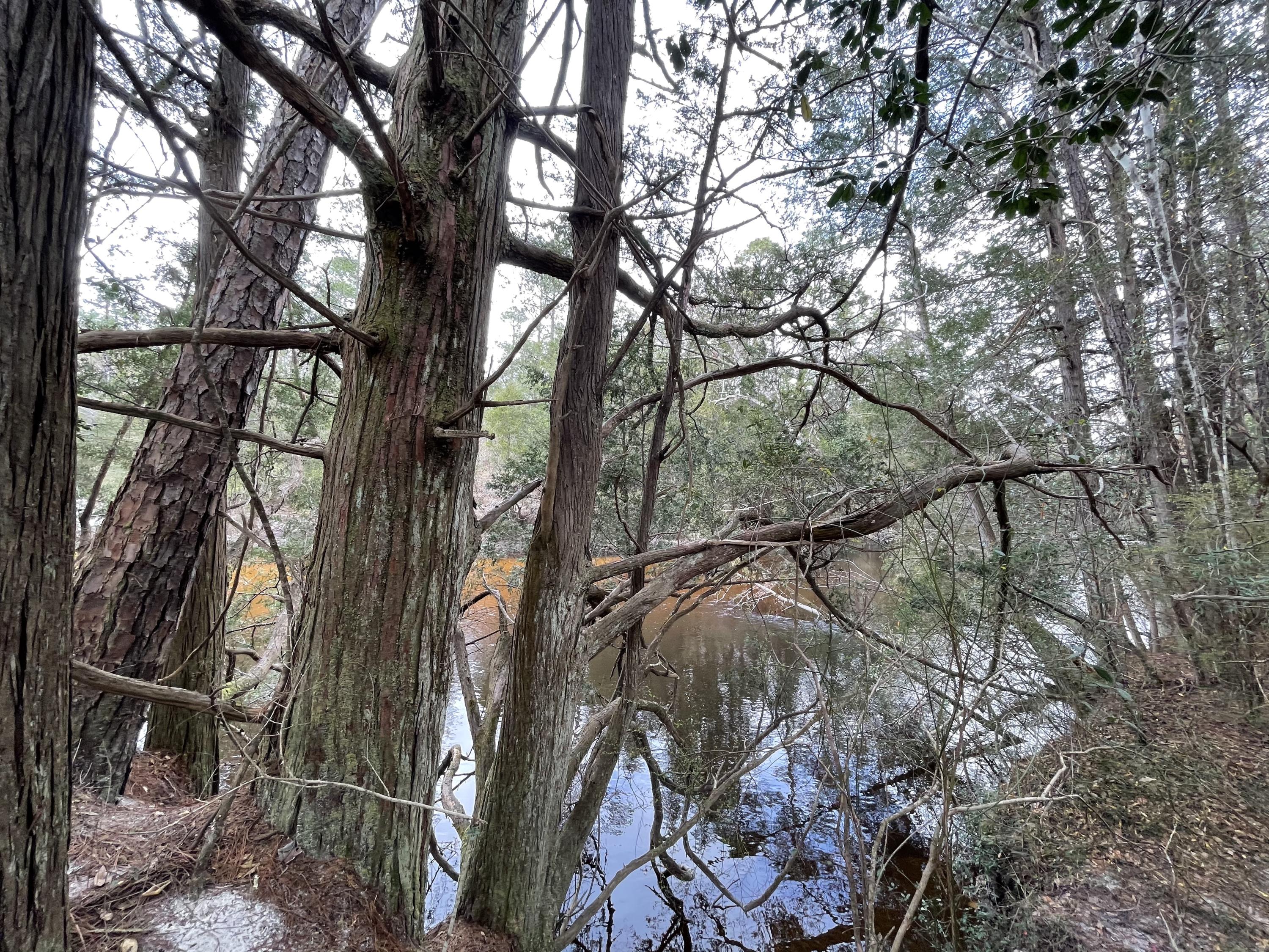 METES & BOUNDS - Farm