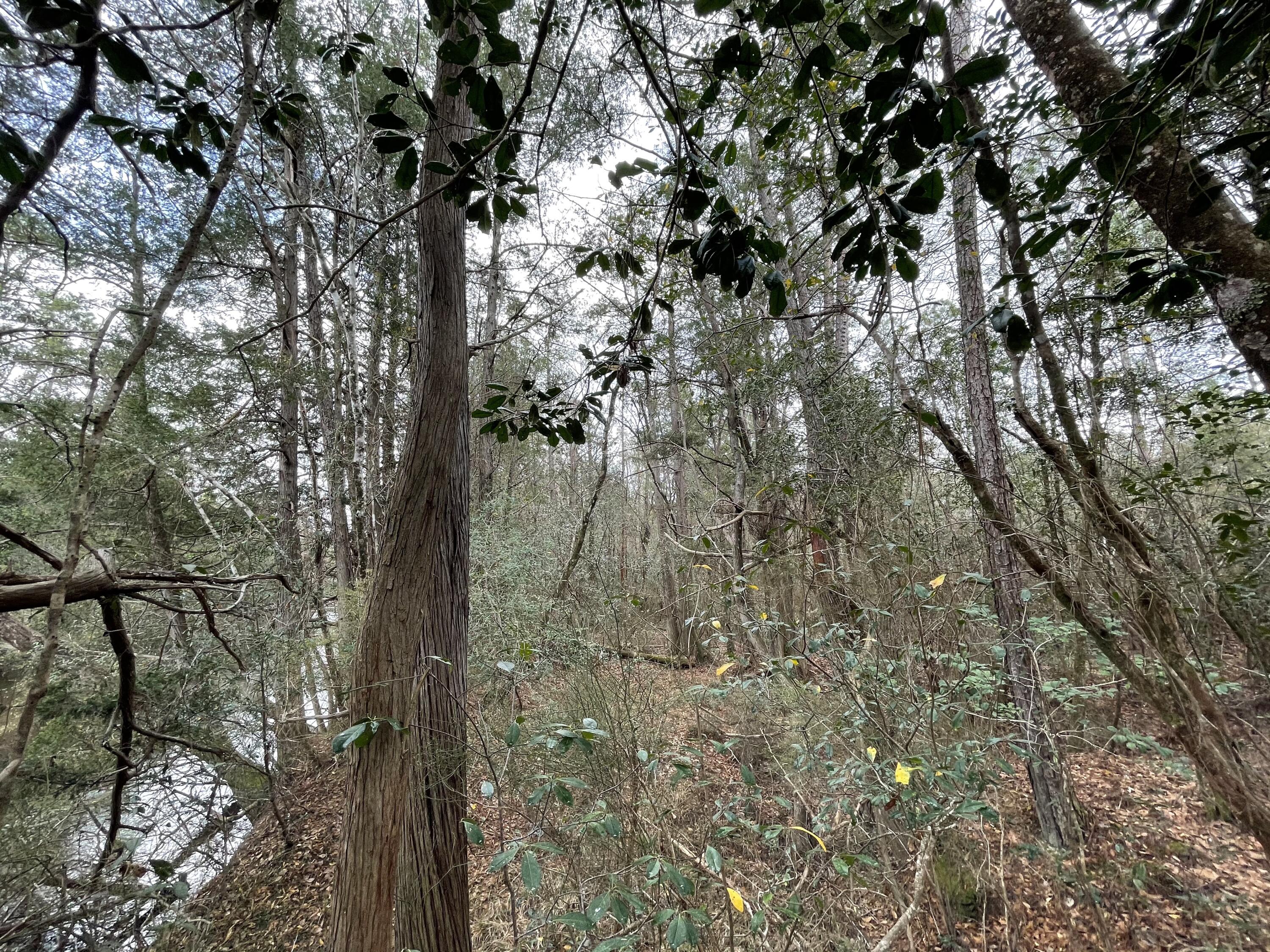 METES & BOUNDS - Farm