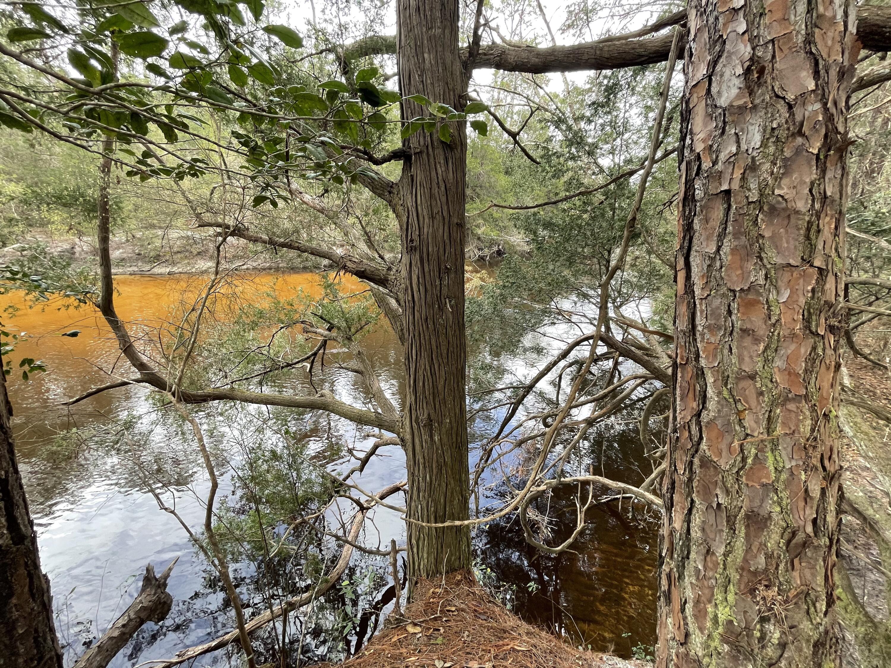 METES & BOUNDS - Farm