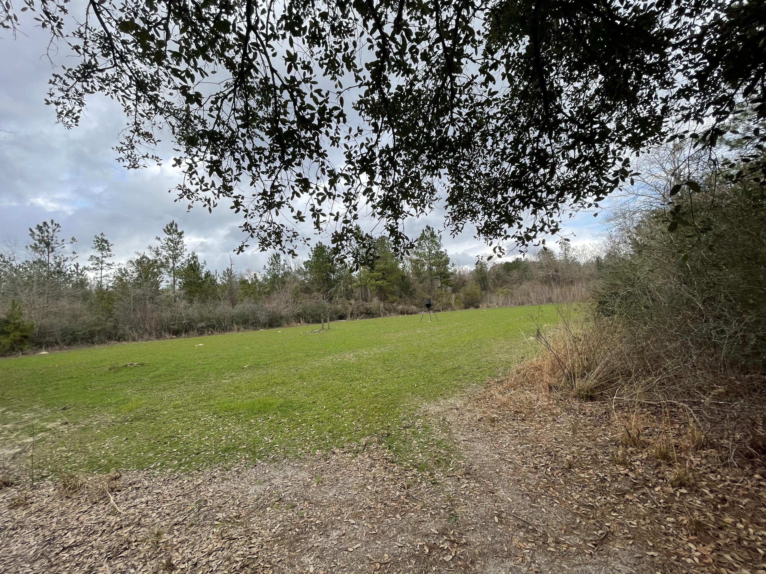 METES & BOUNDS - Farm