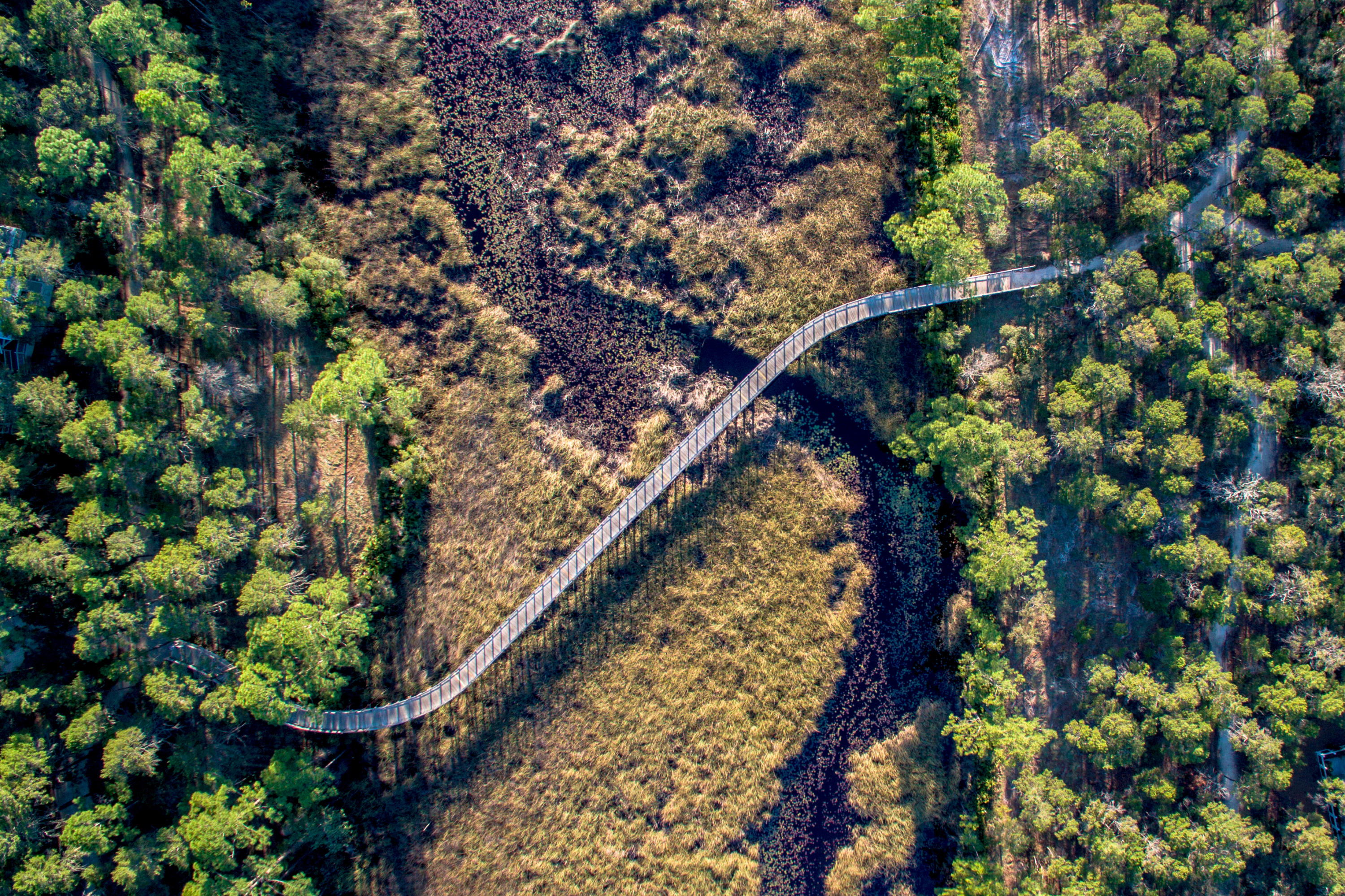 WATERCOLOR - Residential