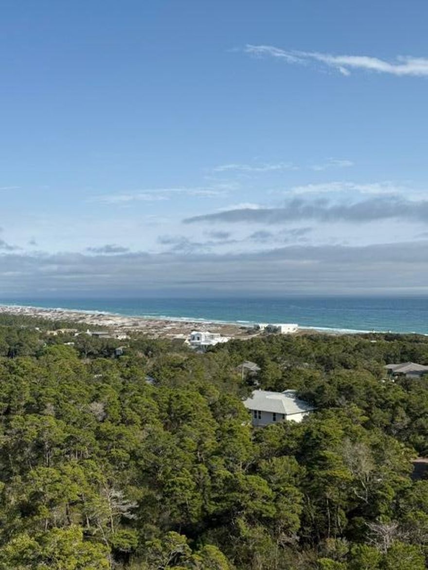 Available for long-term lease, don't miss this rare opportunity! Welcome to 1103 Summit at TOPS'L, a penthouse-level condo offering panoramic views of Coffeen Nature Preserve, Topsail Hill State Park, and the Gulf. This rare 11th-floor unit boasts 10-foot ceilings, extra transom windows, and an oversized balcony, creating an open and airy feel perfect for long-term living. This spacious condo features a modern kitchen with sleek finishes, beautifully renovated bathrooms, and elegant design touches throughout. A deeded garage parking spot adds convenience, while the secure, gated community ensures peace of mind.  Residents can enjoy access to miles of scenic nature trails, fitness and tennis facilities, and private beach access, all while being just minutes from shopping, dining, and entertainment in Miramar Beach and Sandestin. Ideal for those seeking a luxurious, maintenance-free lifestyle by the beach, this rental offers unmatched views, resort-style amenities, and a tranquil coastal setting.